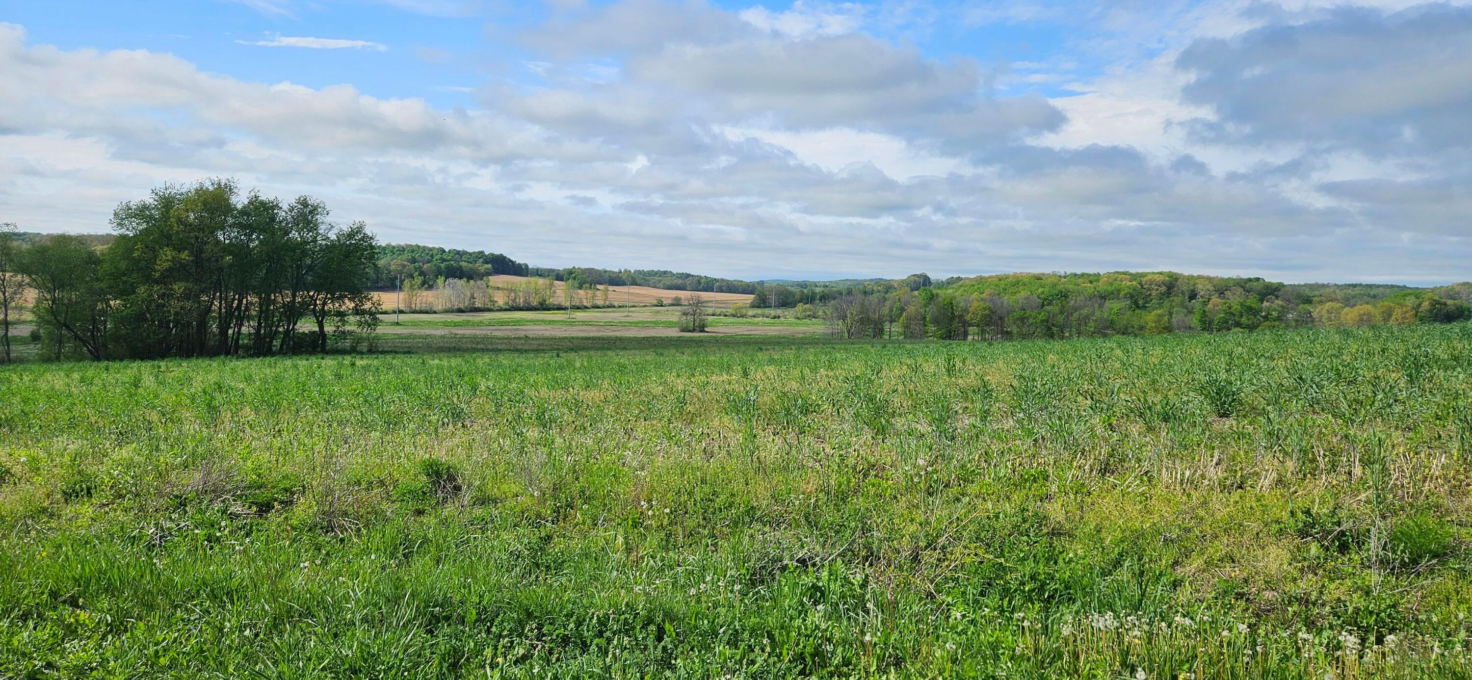 Divelbiss Road, Fredericktown, Ohio image 14