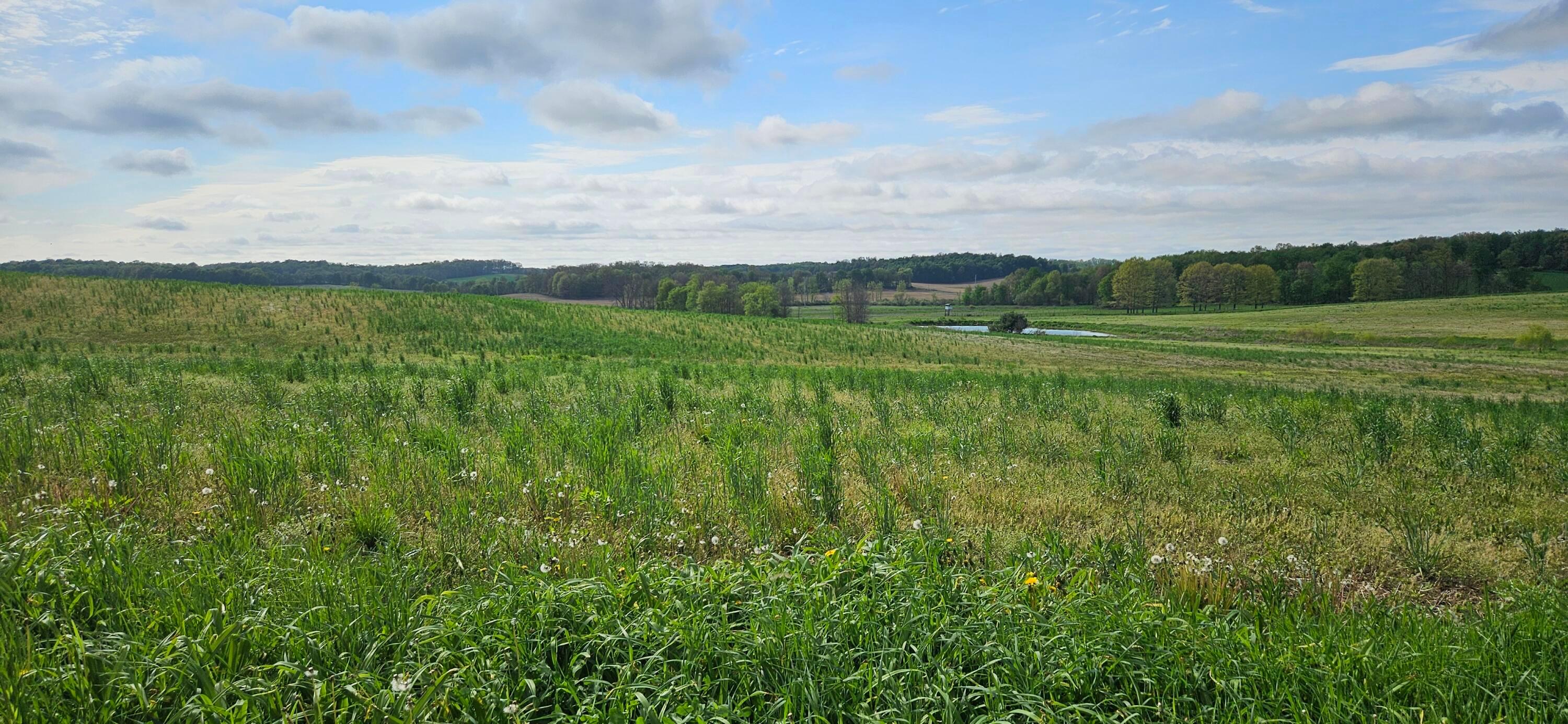 Divelbiss Road, Fredericktown, Ohio image 21