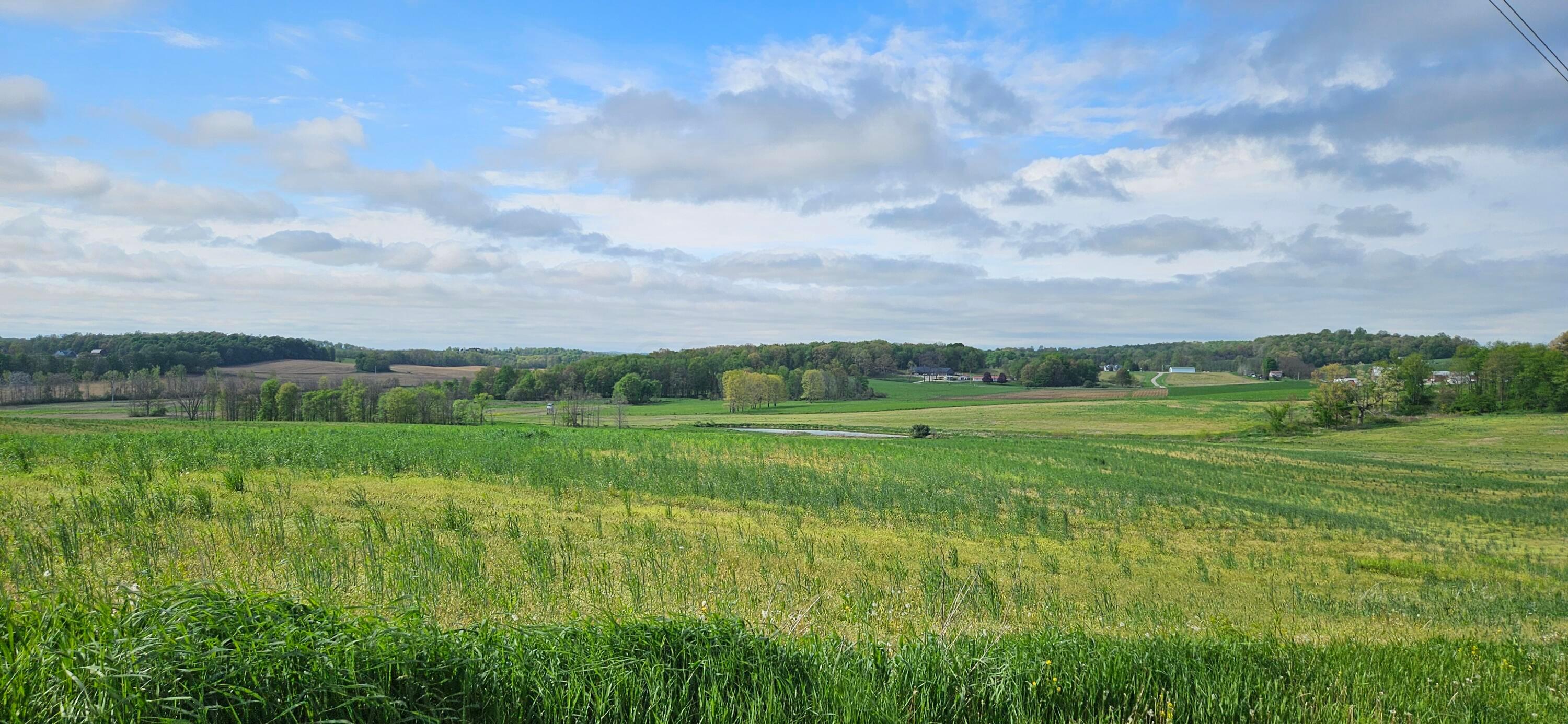 Divelbiss Road, Fredericktown, Ohio image 20