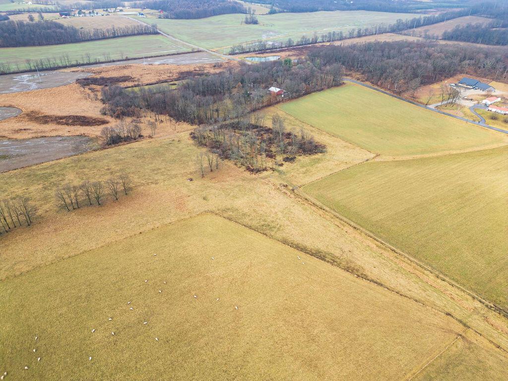 Divelbiss Road, Fredericktown, Ohio image 7