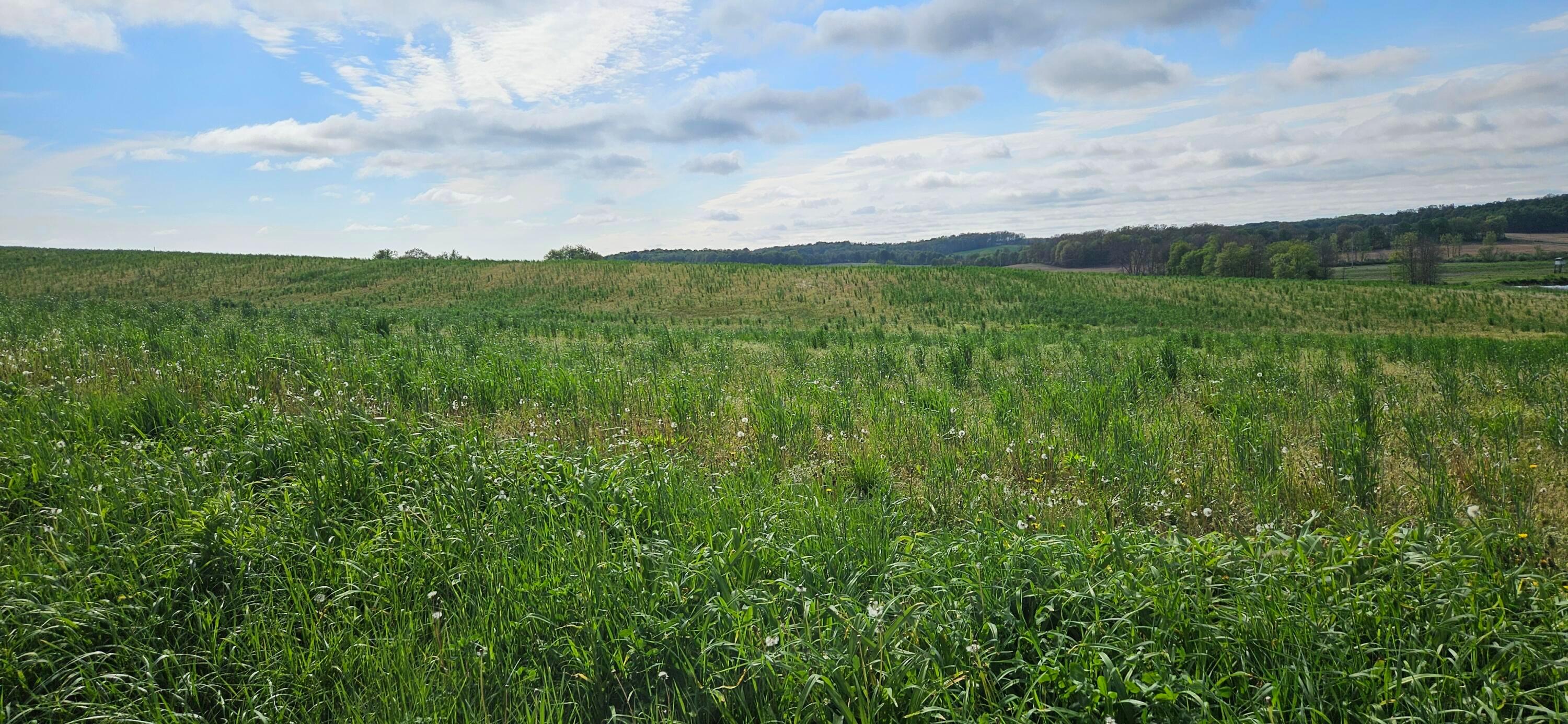 Divelbiss Road, Fredericktown, Ohio image 18