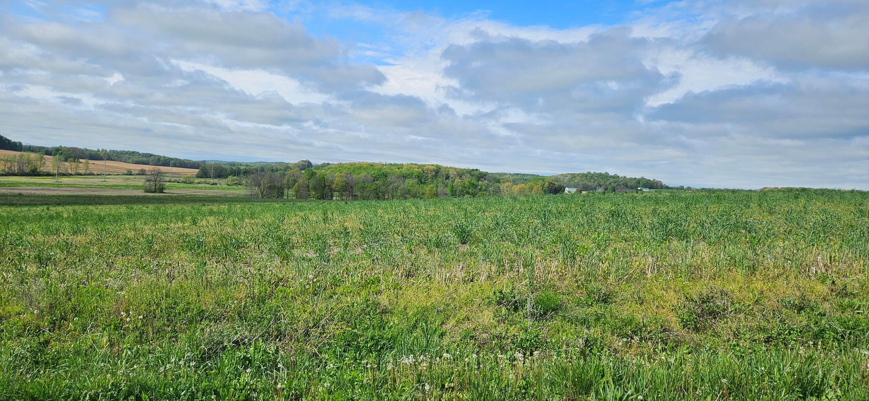 Divelbiss Road, Fredericktown, Ohio image 17