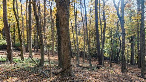 Photo of 0 Dorrence Road, Granville, OH 43023 (MLS # 225040962)