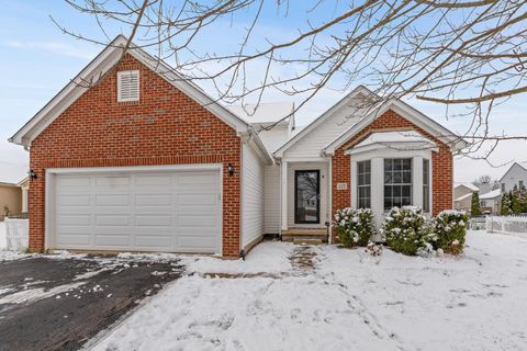 Photo of 217 Brushmore Court, Delaware, OH 43015 (MLS # 225044859)