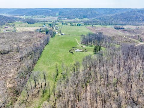 Vacant Land For Sale - Big Pine Road<br/> Laurelville, OH 43135
