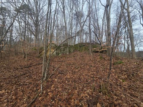 Photo of 12001 W Buck Run Road, Rockbridge, OH 43149 (MLS # 226001081)