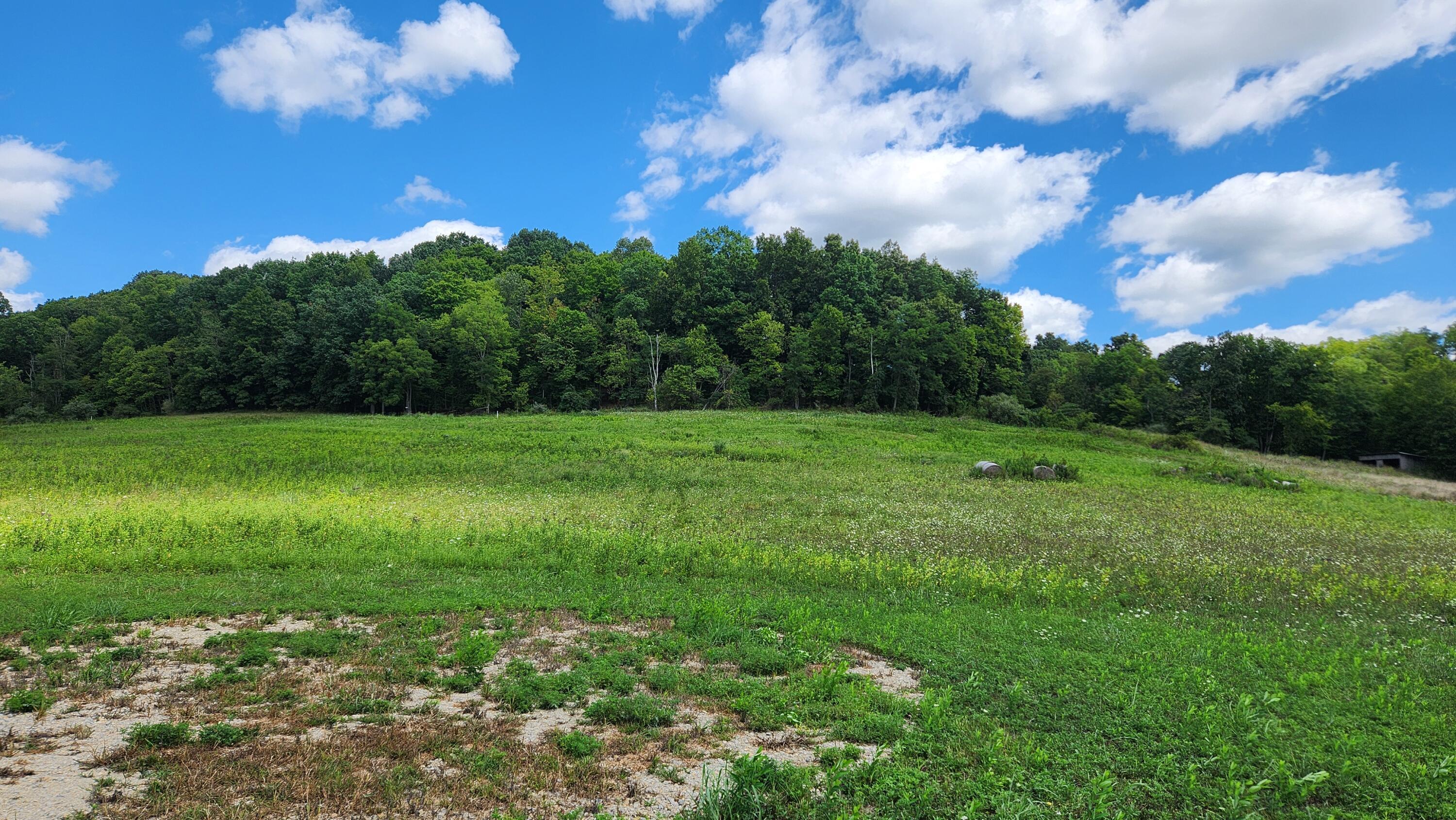 34978 Sr 681 Road #TRACT 17 ALBANY WOODS, Albany, Ohio image 15