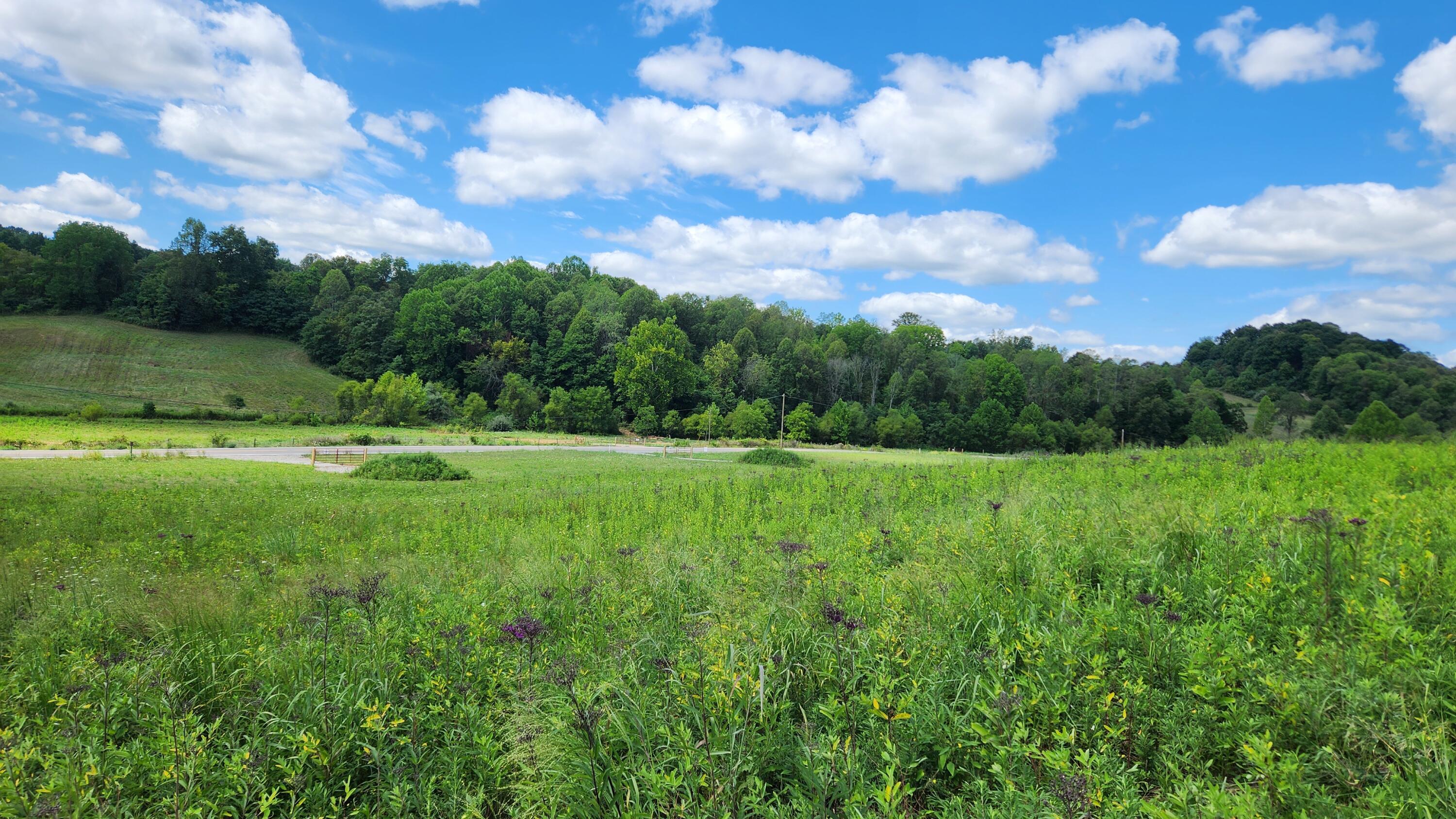 34978 Sr 681 Road #TRACT 17 ALBANY WOODS, Albany, Ohio image 12