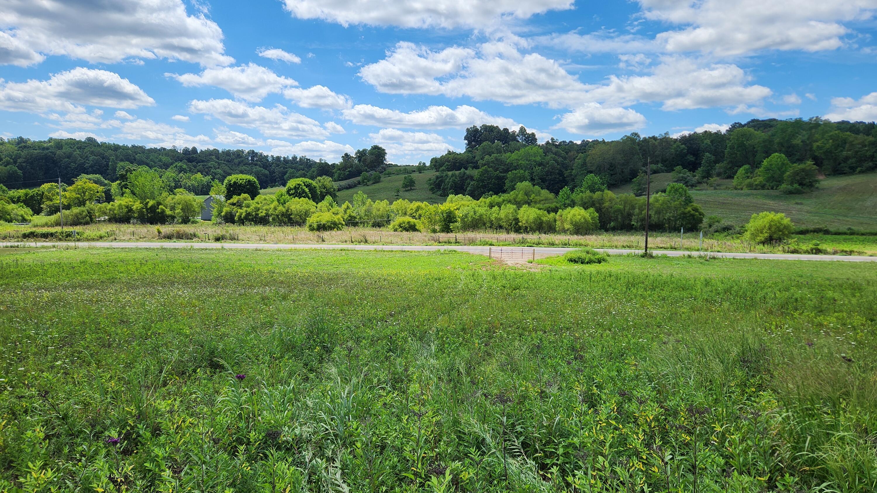 34978 Sr 681 Road #TRACT 17 ALBANY WOODS, Albany, Ohio image 13