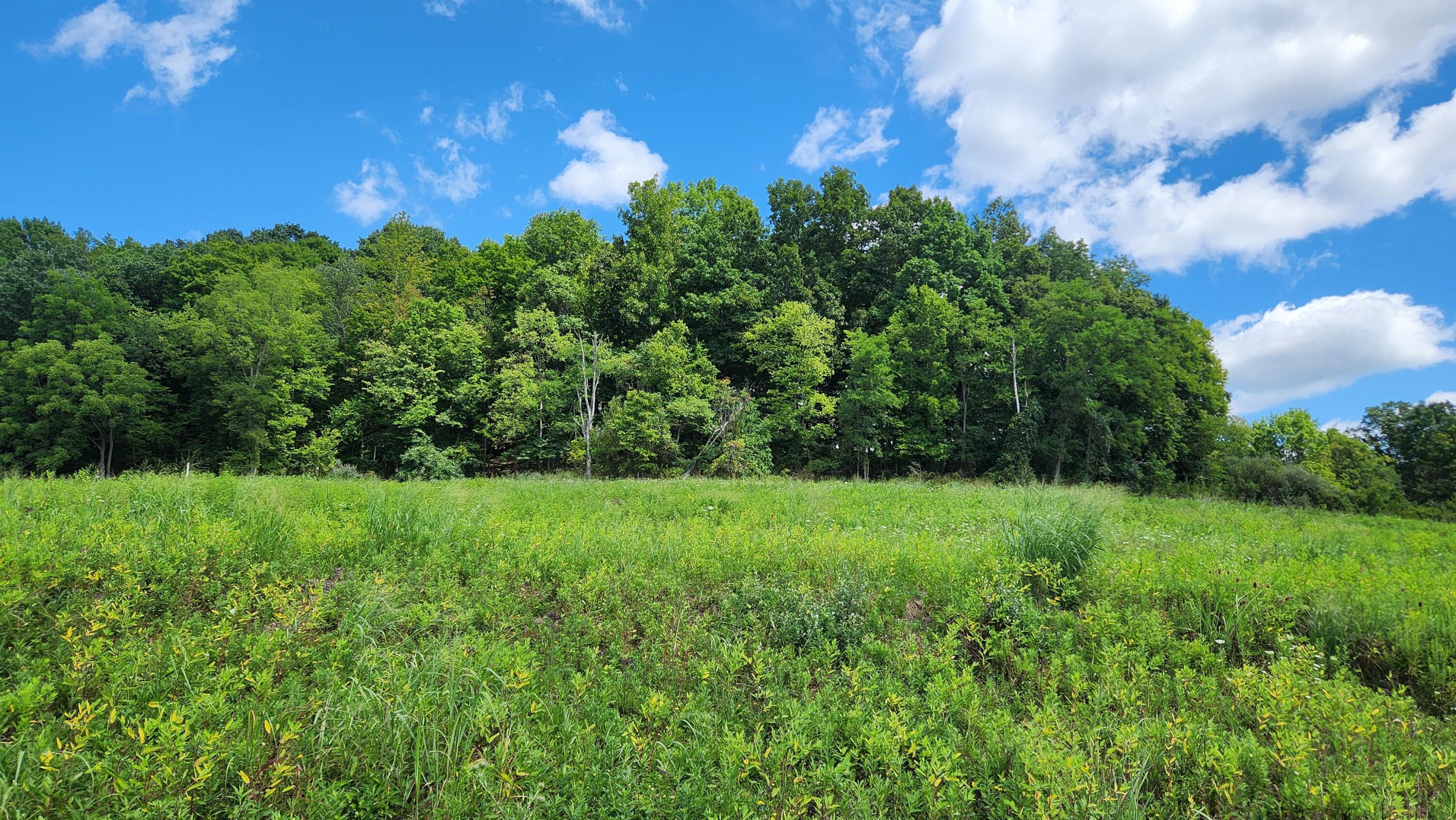 34978 Sr 681 Road #TRACT 17 ALBANY WOODS, Albany, Ohio image 10