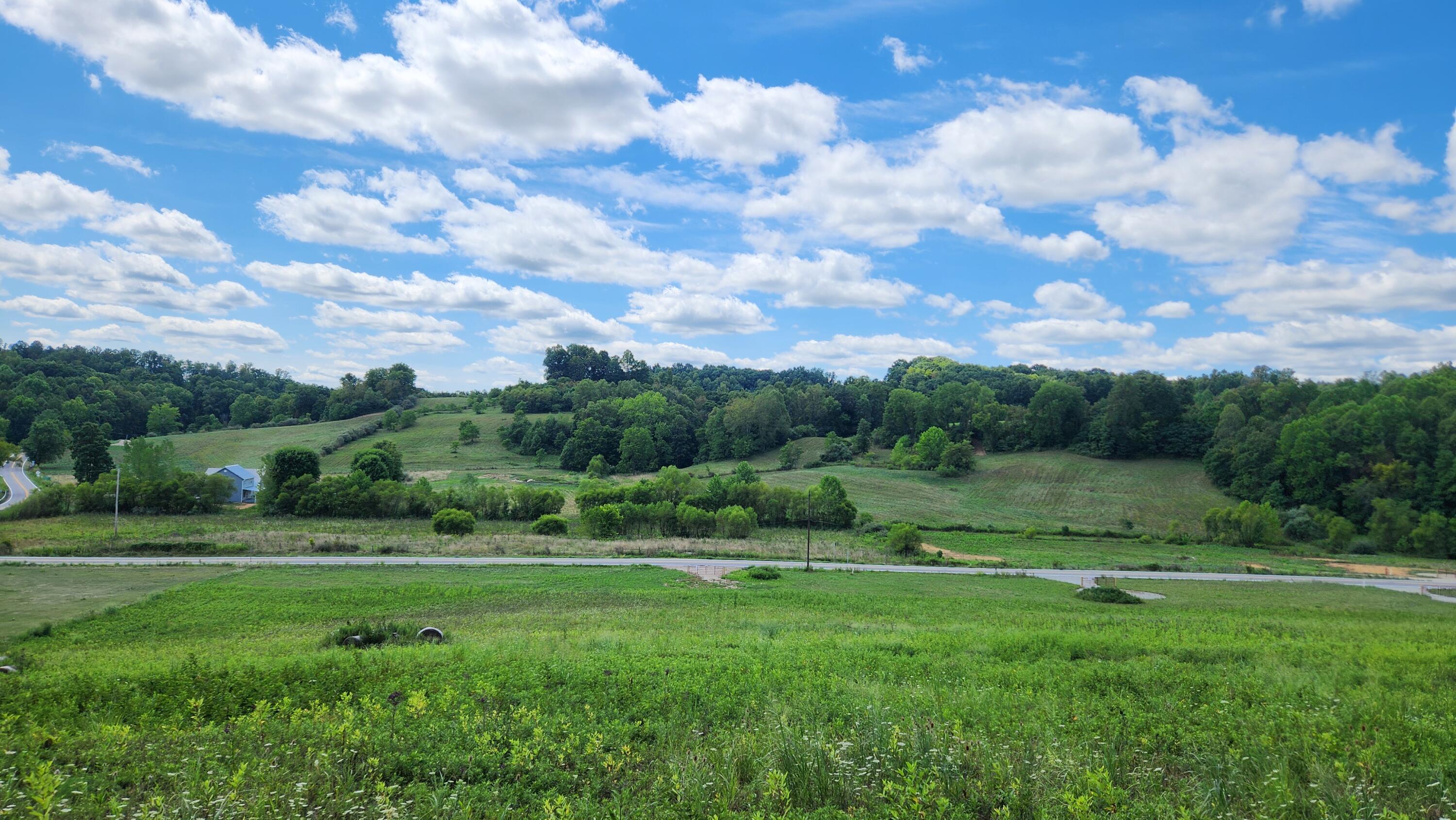 34978 Sr 681 Road #TRACT 17 ALBANY WOODS, Albany, Ohio image 7