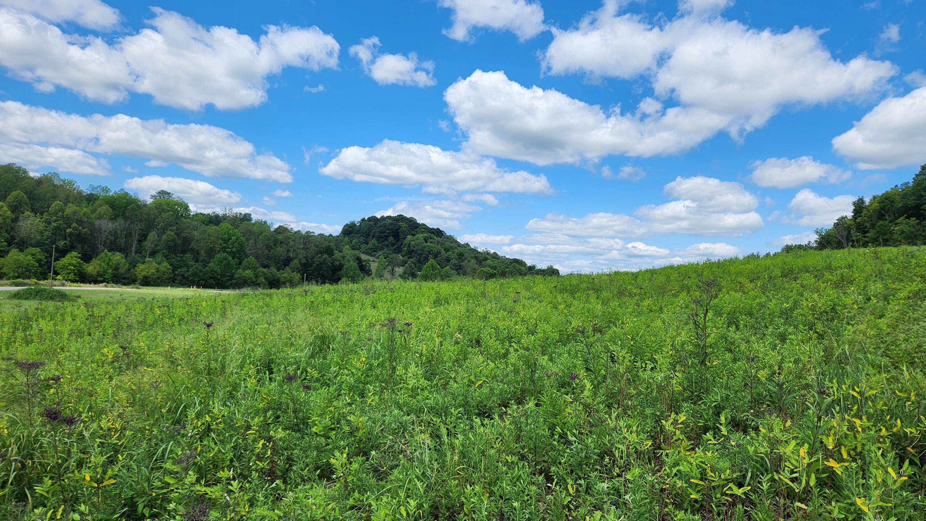 34978 Sr 681 Road #TRACT 17 ALBANY WOODS, Albany, Ohio image 11