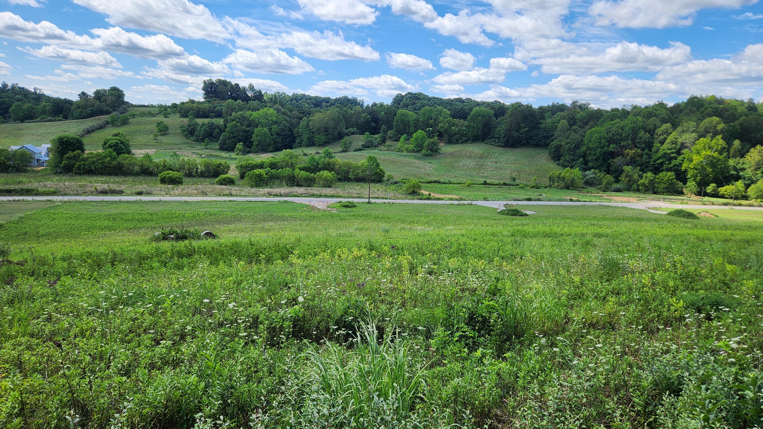 34978 Sr 681 Road #TRACT 17 ALBANY WOODS, Albany, Ohio image 9