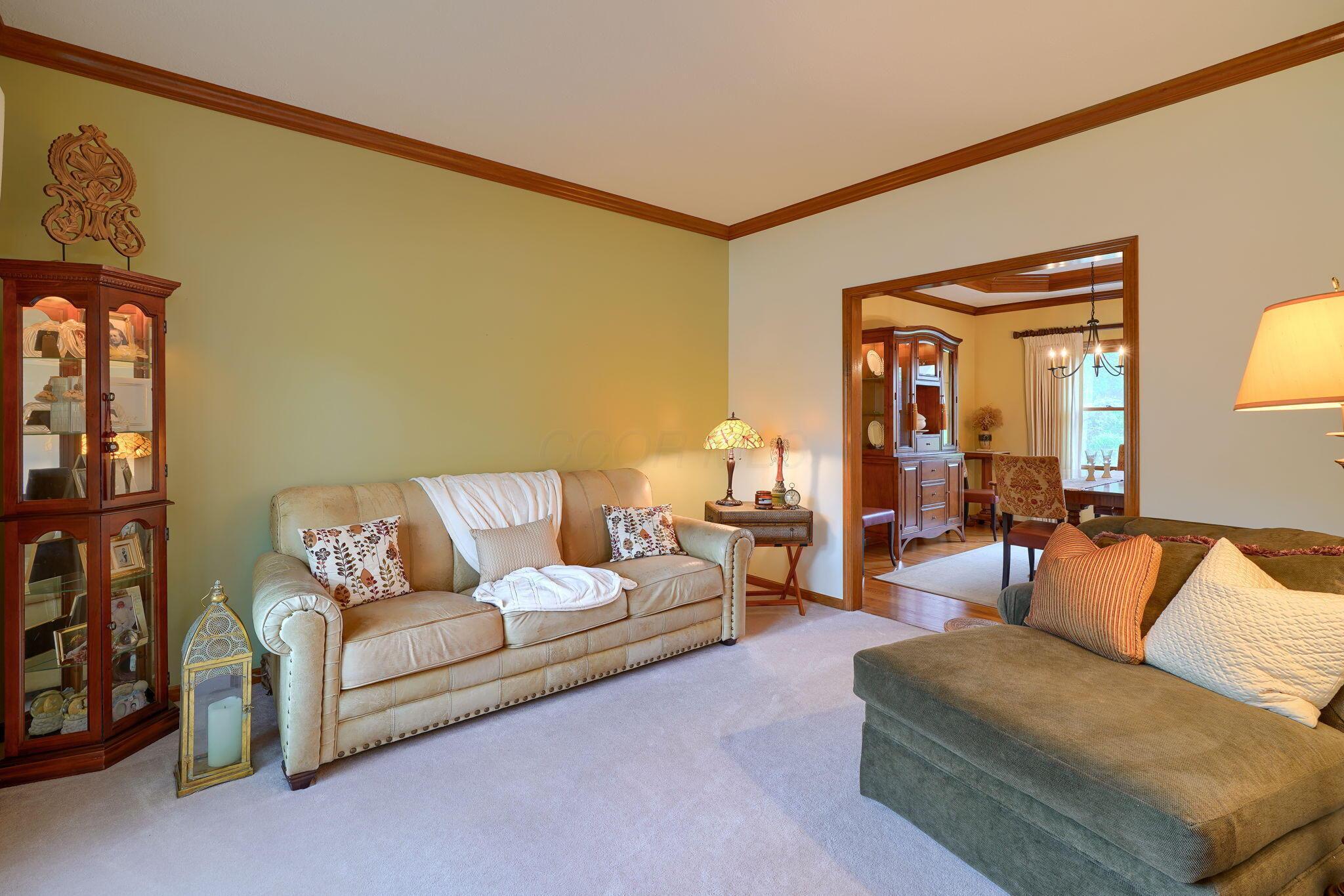 2818 Big Sur Drive, Lewis Center, Ohio image 6