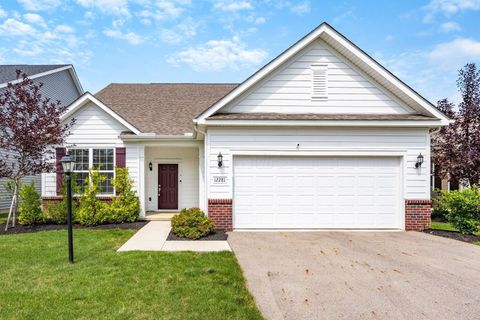 Photo of 12281 Rooster Tail Drive, Pickerington, OH 43147 (MLS # 225026643)