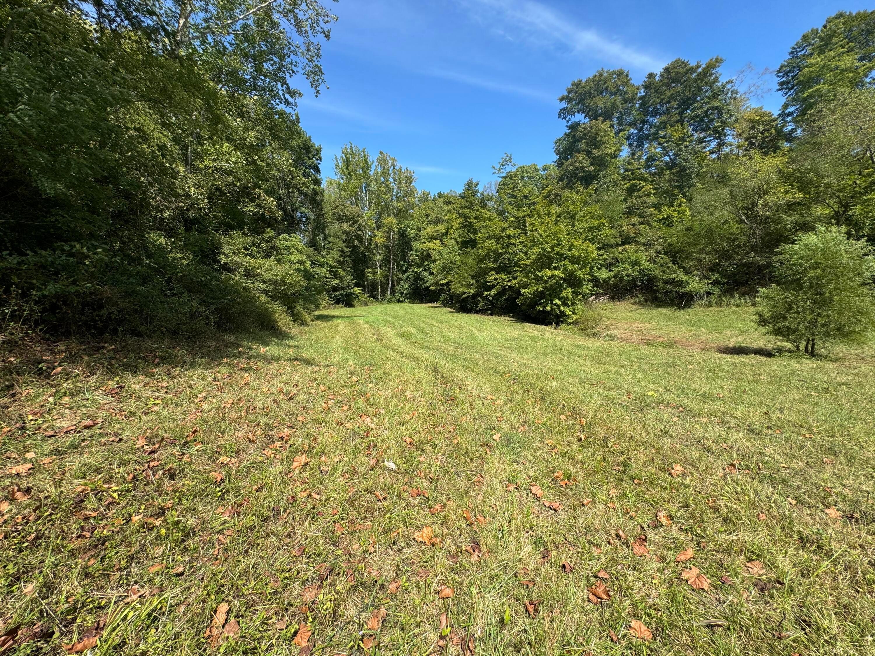 Mcgrath Road #MCGRATH TRACT 5, Athens, Ohio image 42