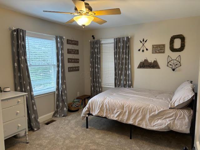 14485 Smart Cole Road, Ostrander, Ohio image 13