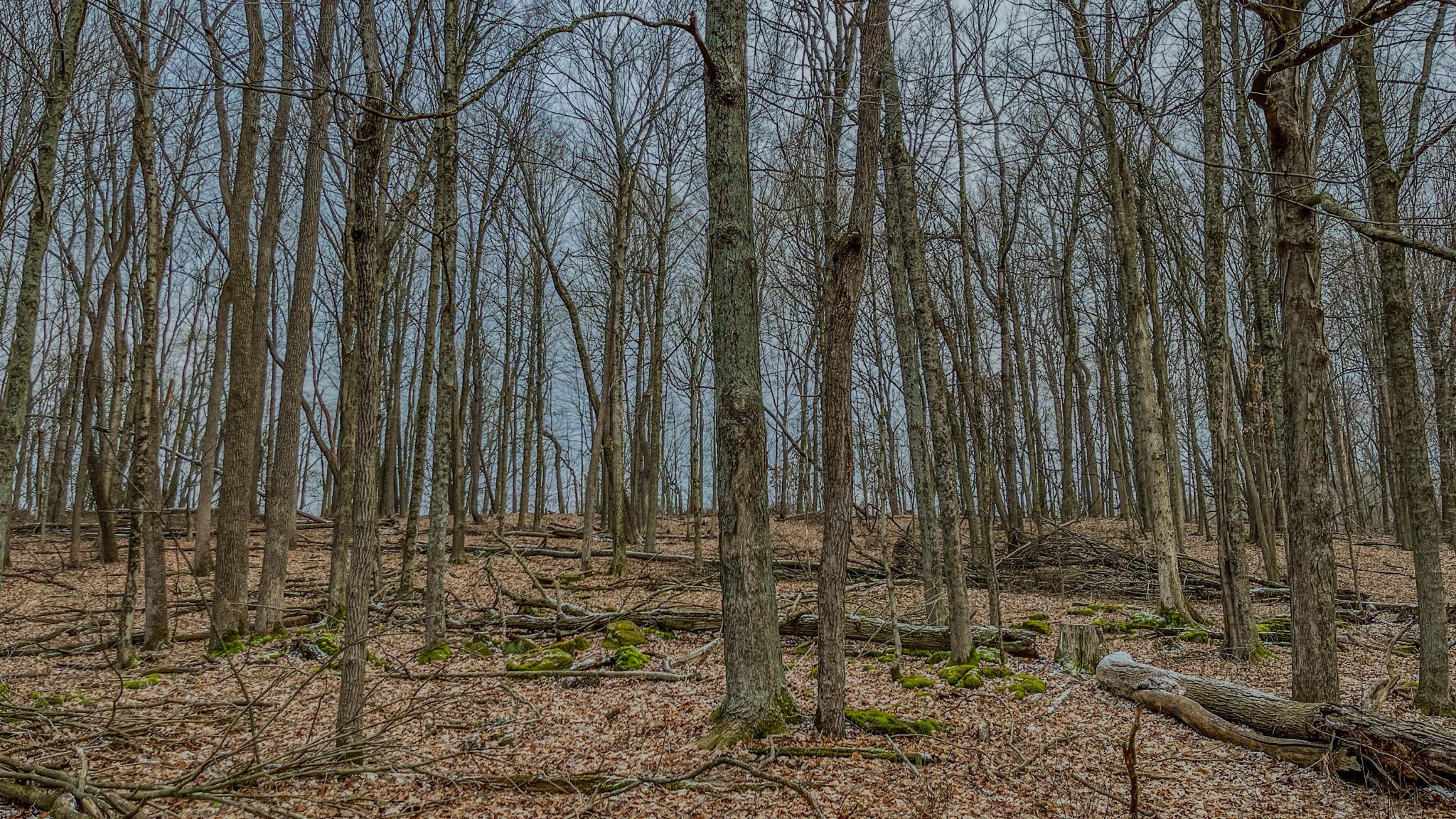 N Liberty Road, Mount Vernon, Ohio image 11