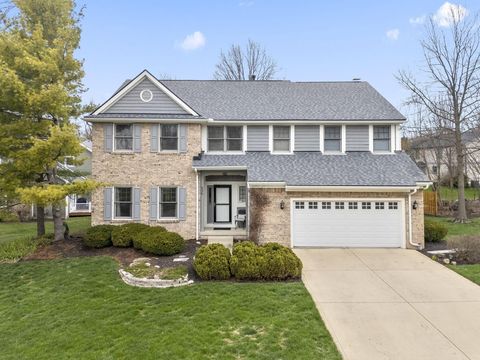 636 Pincay Place Columbus OH 43230