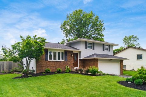 Photo of 315 Denison Avenue, Columbus, OH 43230 (MLS # 226015037)