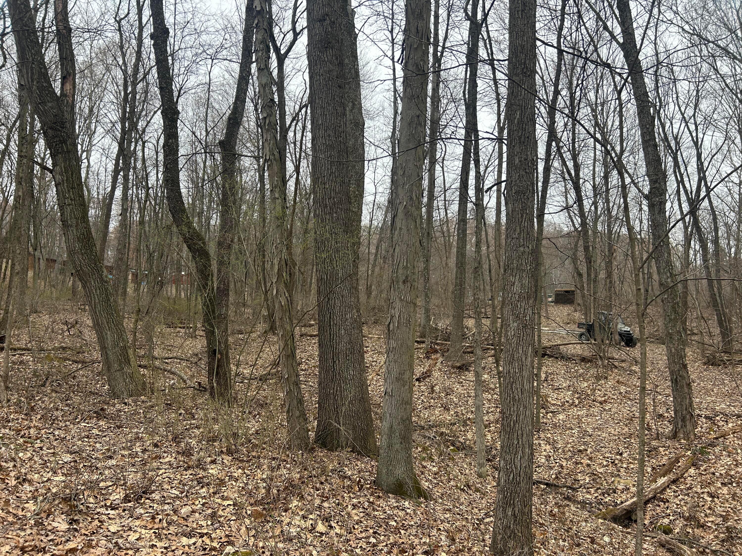 12223 Eddyburg Road, Newark, Ohio image 37
