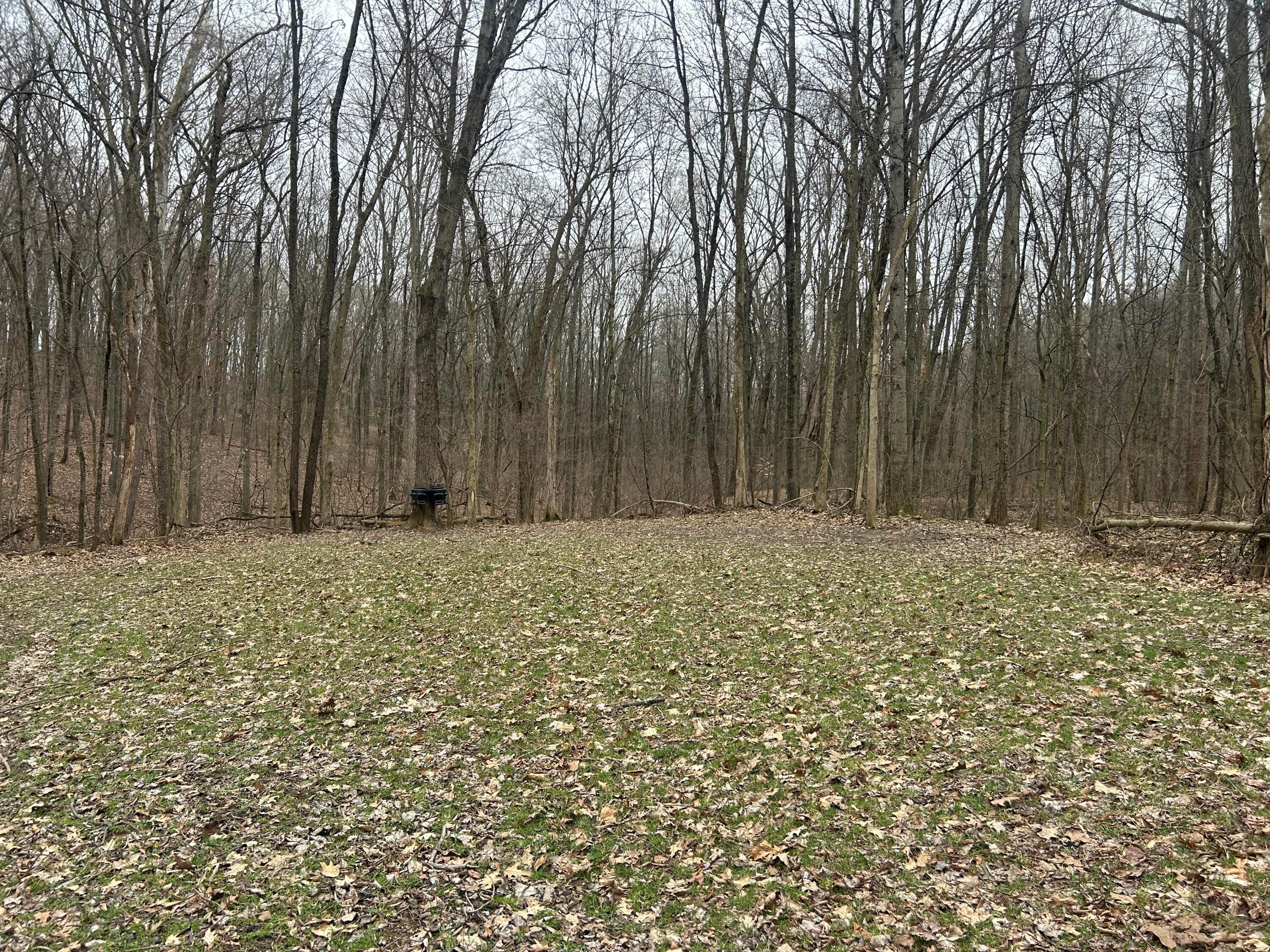 12223 Eddyburg Road, Newark, Ohio image 35