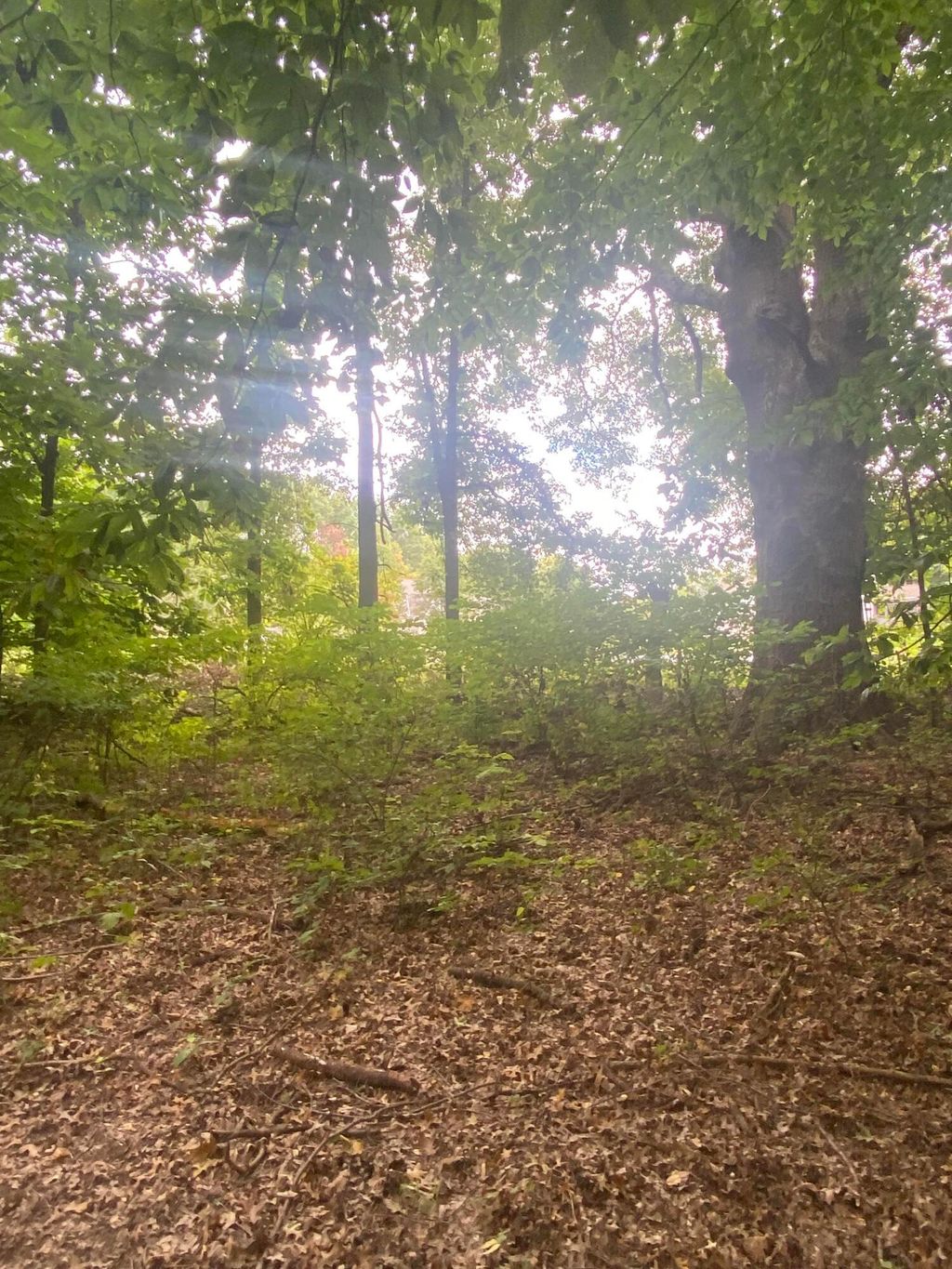 Photo of 0 Paul Road, Westerville, OH 43082 (MLS # 225001038)