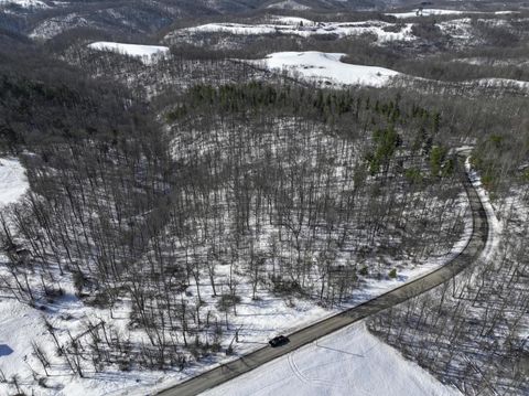 Vacant Land For Sale - 0 TRACT 3 Bondi Ridge Rd<br/> Woodsfield, OH 43793