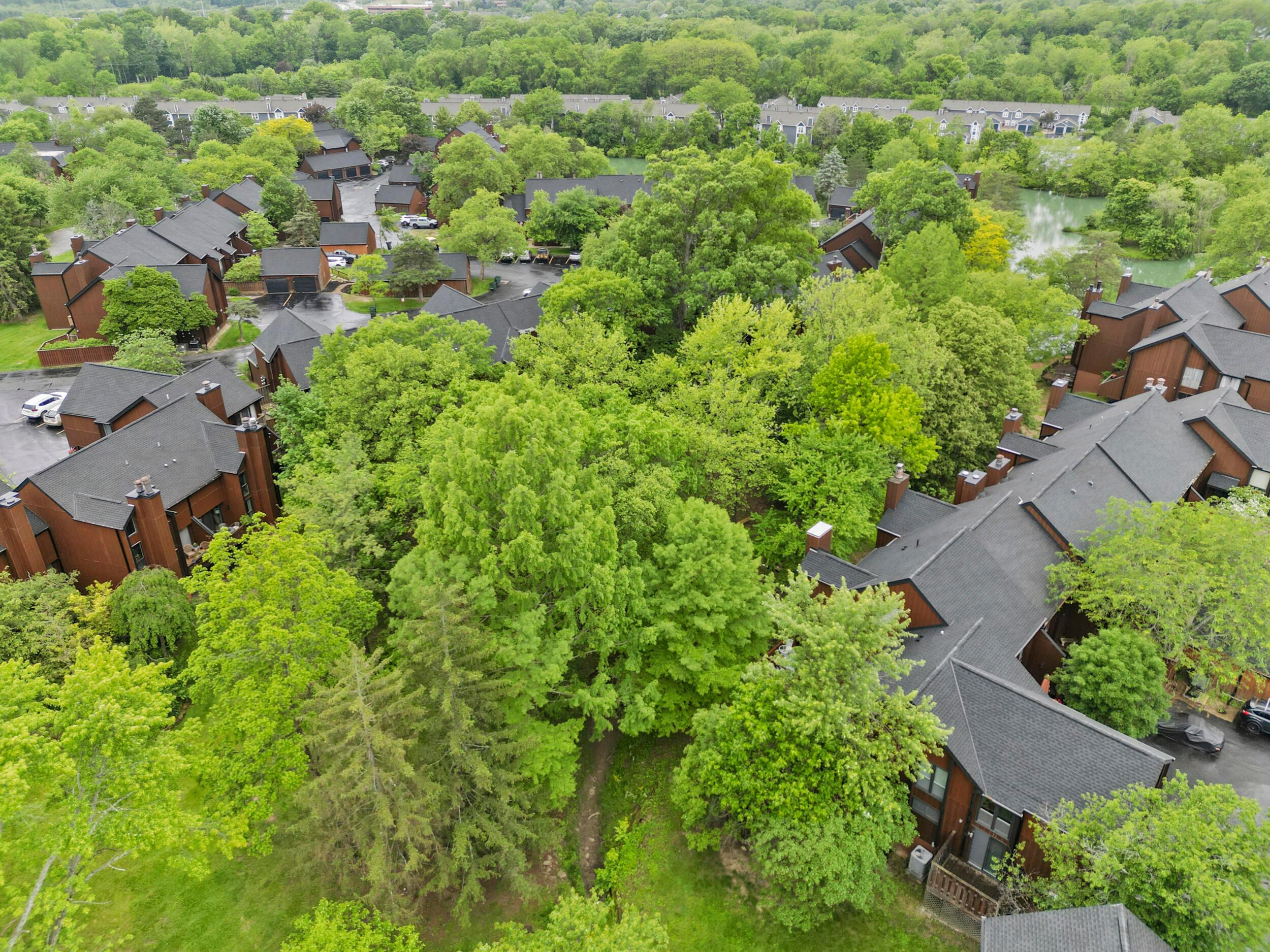 4796 Crazy Horse Lane, Westerville, Ohio image 20