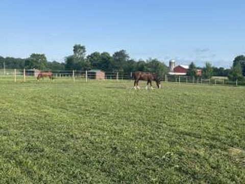 Tiny photo for 6090 Horseshoe Road, Delaware, OH 43015 (MLS # 226006135)