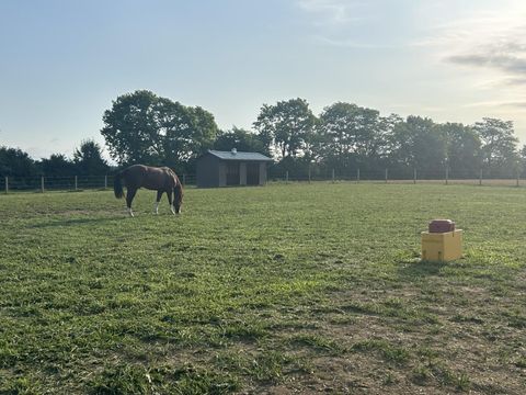 Tiny photo for 6090 Horseshoe Road, Delaware, OH 43015 (MLS # 226006135)