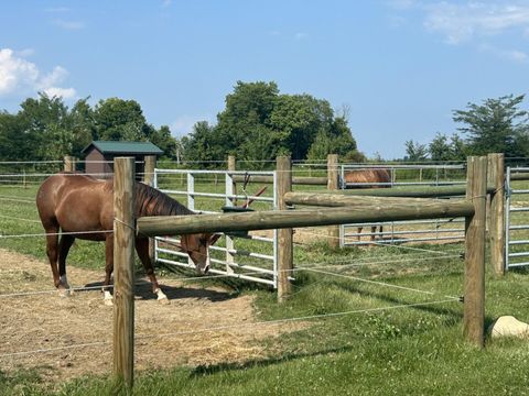 Tiny photo for 6090 Horseshoe Road, Delaware, OH 43015 (MLS # 226006135)