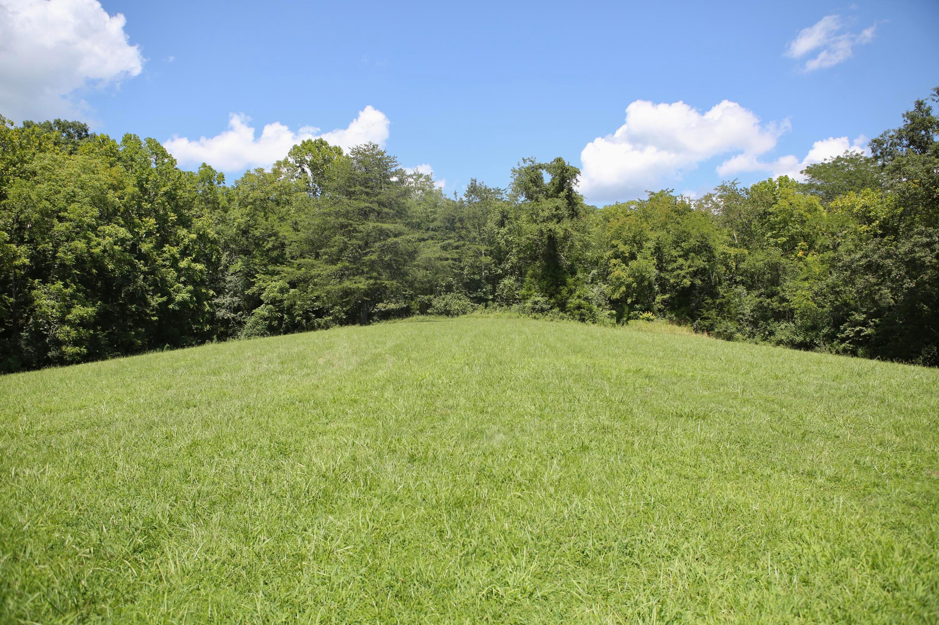 Gallipolis, Ohio 45631, United States, 4 Bedrooms Bedrooms, ,3 BathroomsBathrooms,Residential,Active,127174