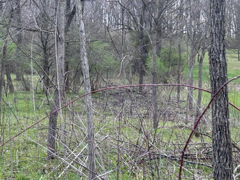 2963 Apple Valley Drive