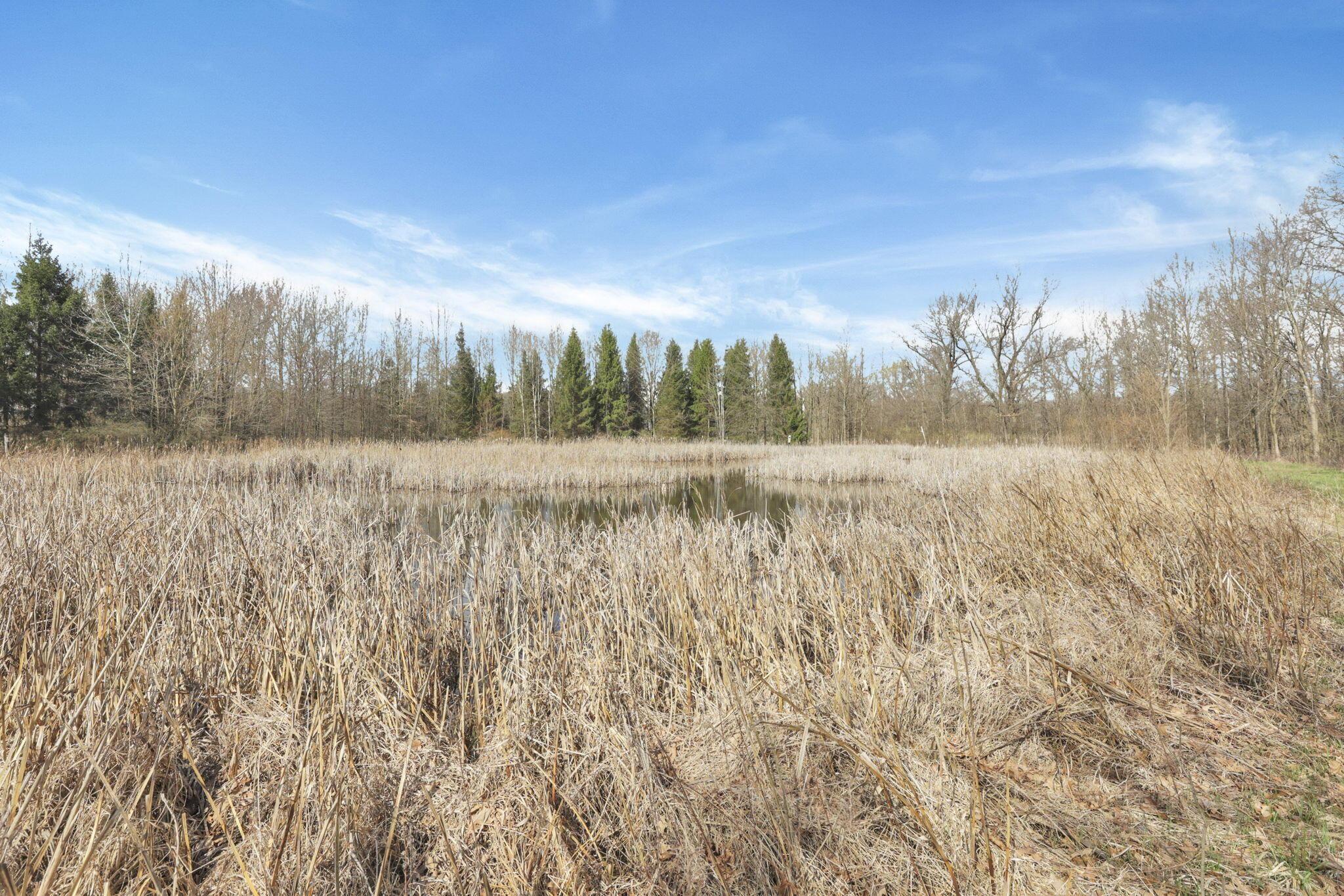 1133 Shearer Road, Galion, Ohio image 18