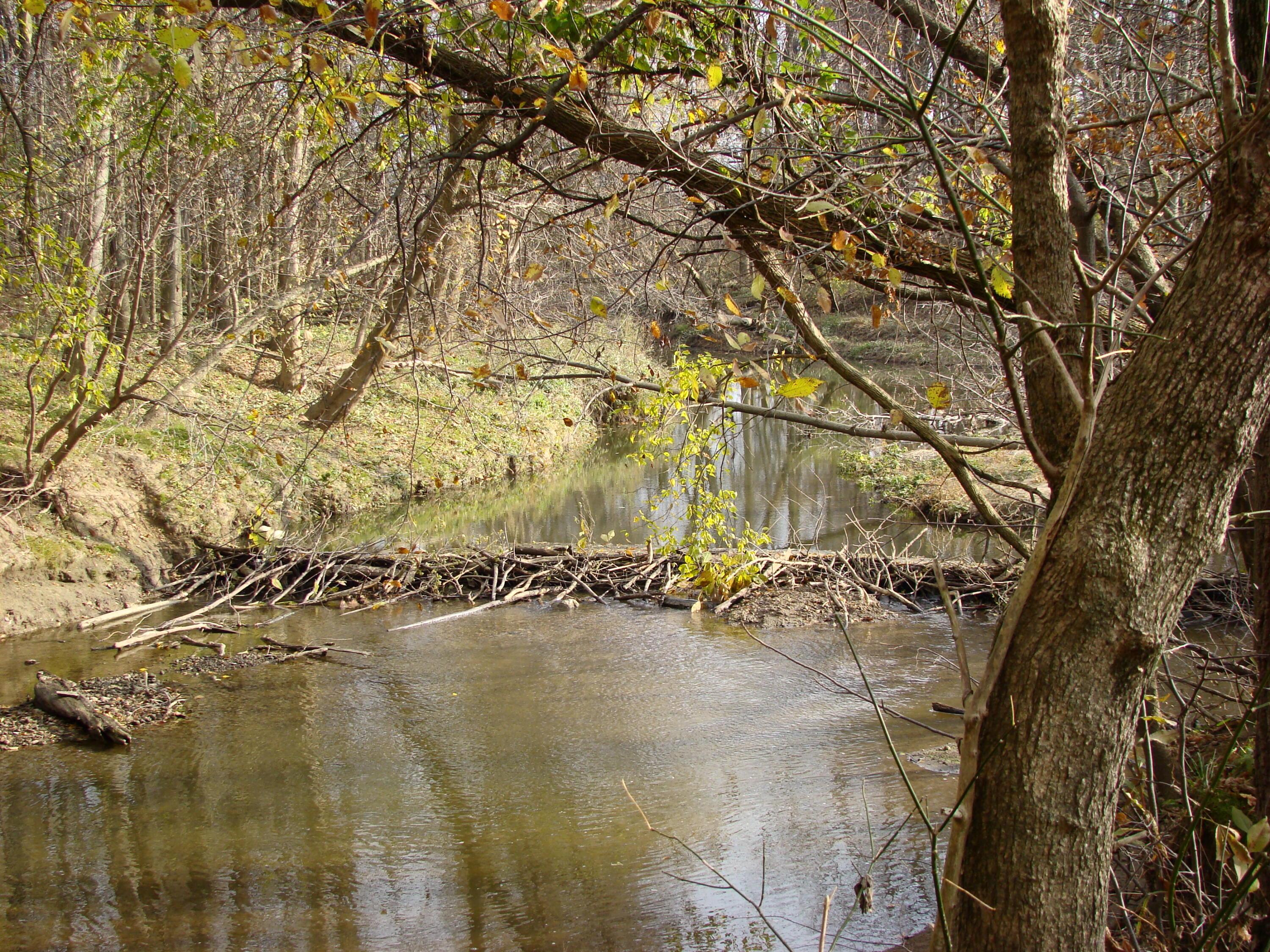 1133 Shearer Road, Galion, Ohio image 12