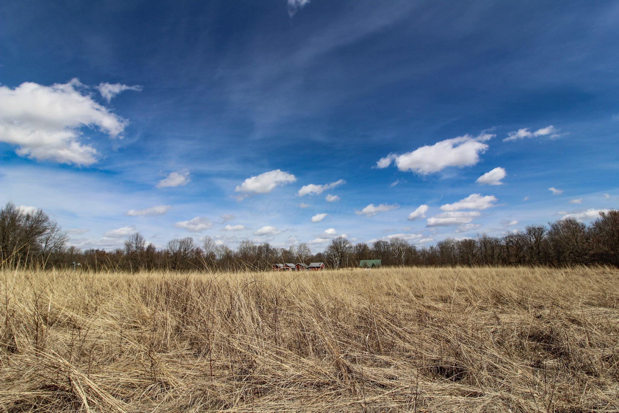 1133 Shearer Road, Galion, Ohio image 8