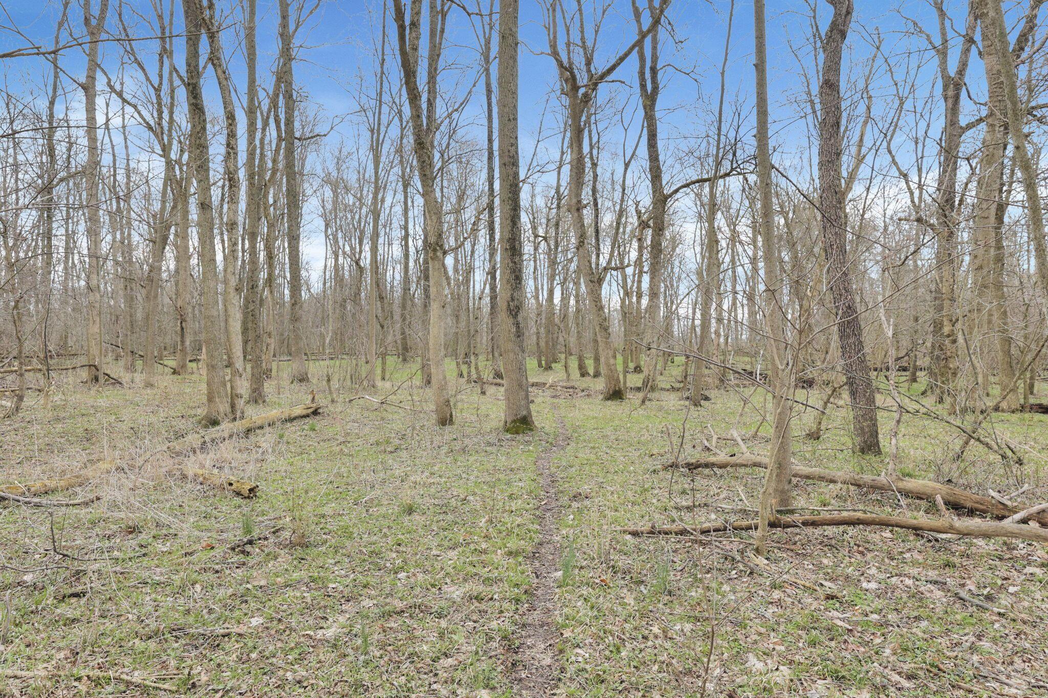 1133 Shearer Road, Galion, Ohio image 30