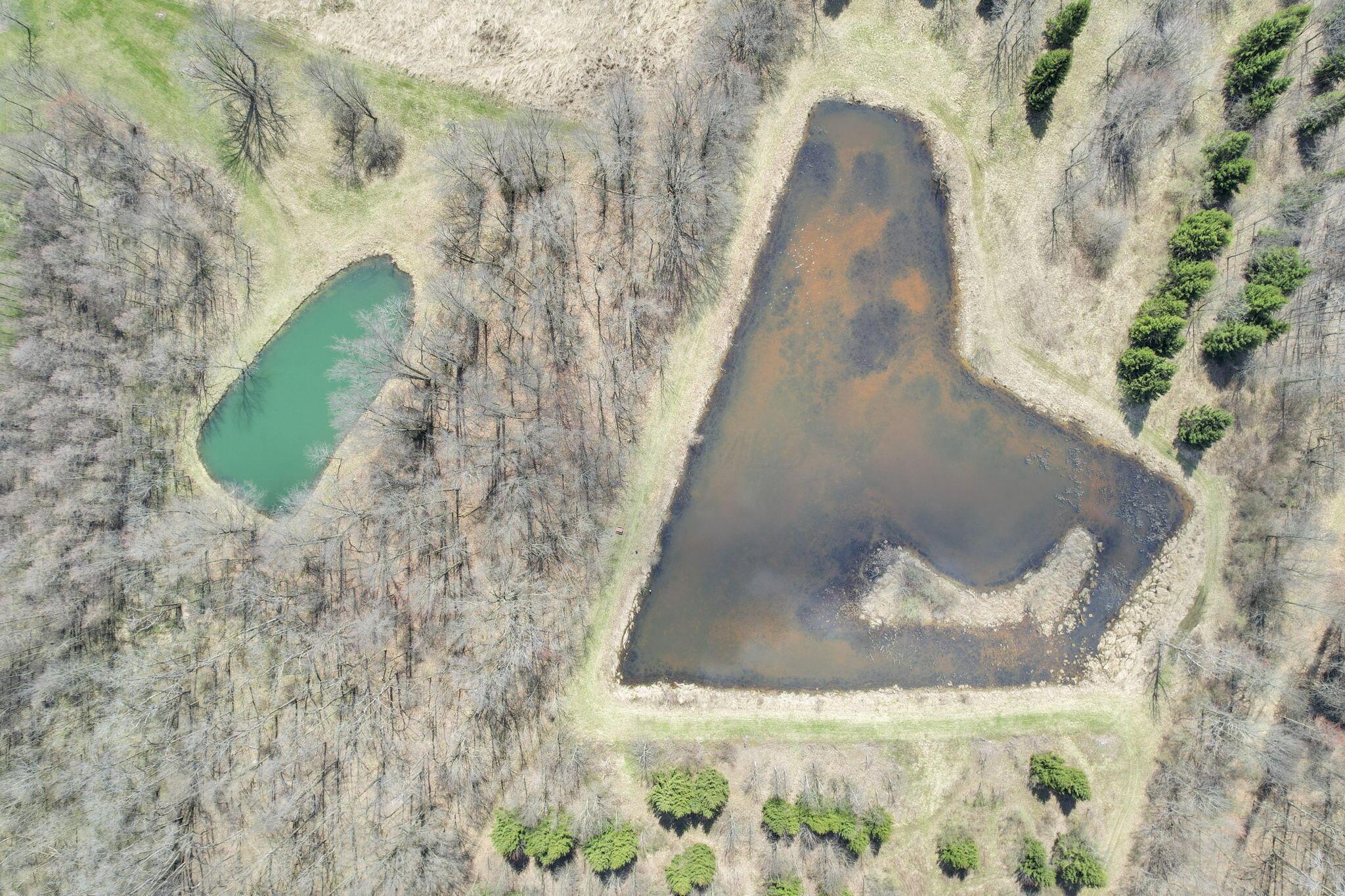 1133 Shearer Road, Galion, Ohio image 24
