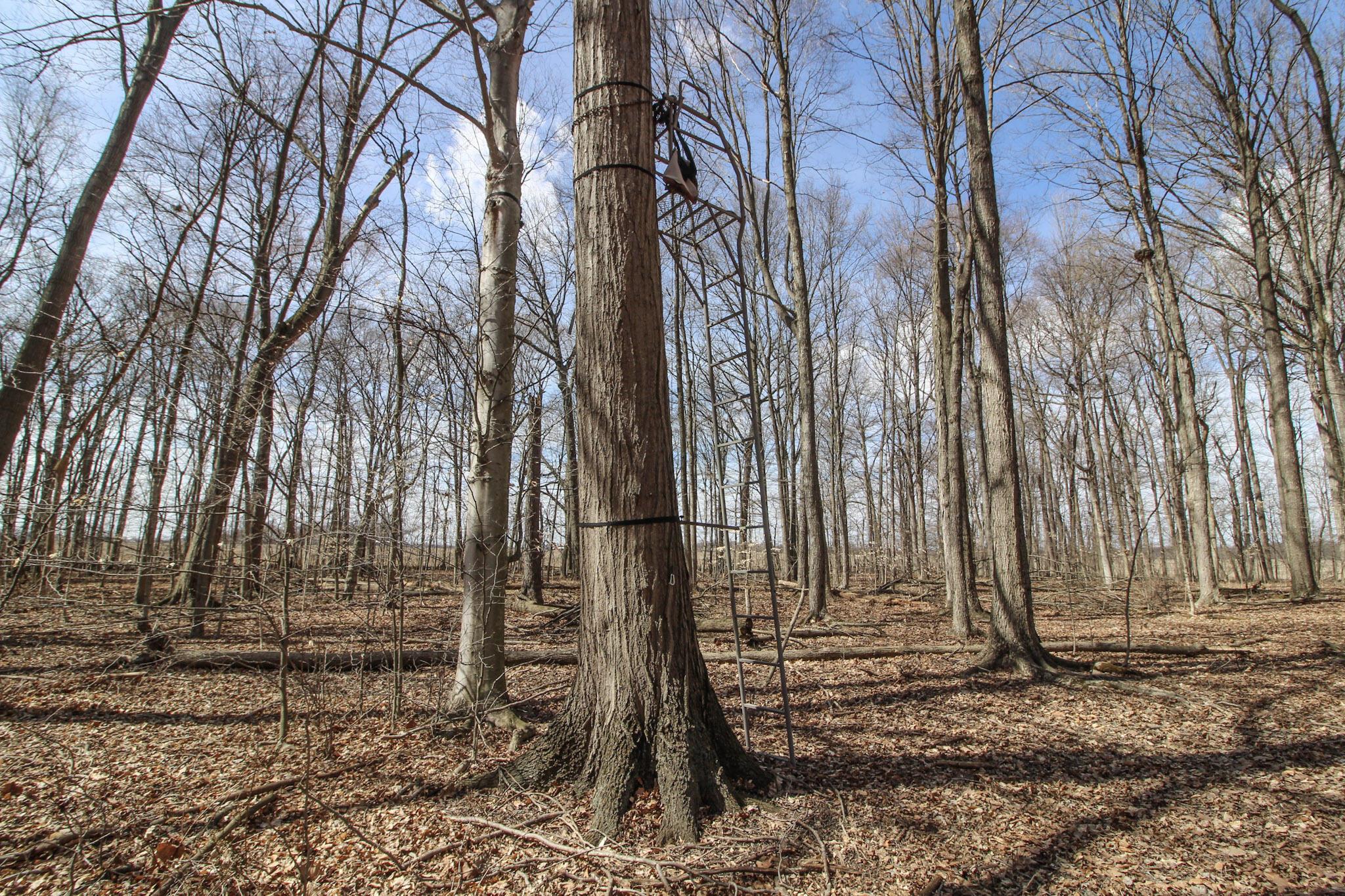 1133 Shearer Road, Galion, Ohio image 36