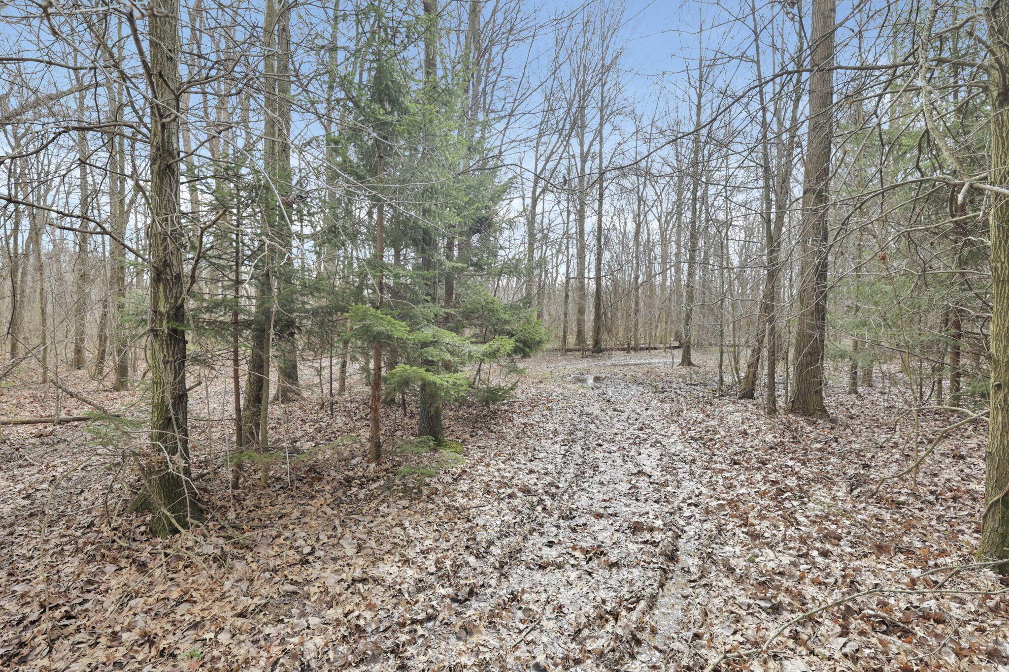 1133 Shearer Road, Galion, Ohio image 26