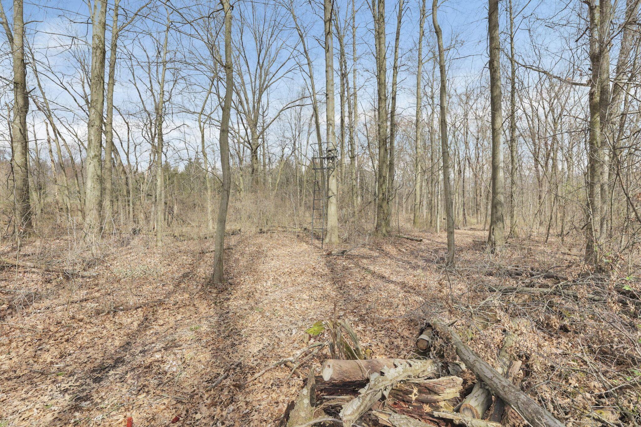 1133 Shearer Road, Galion, Ohio image 29
