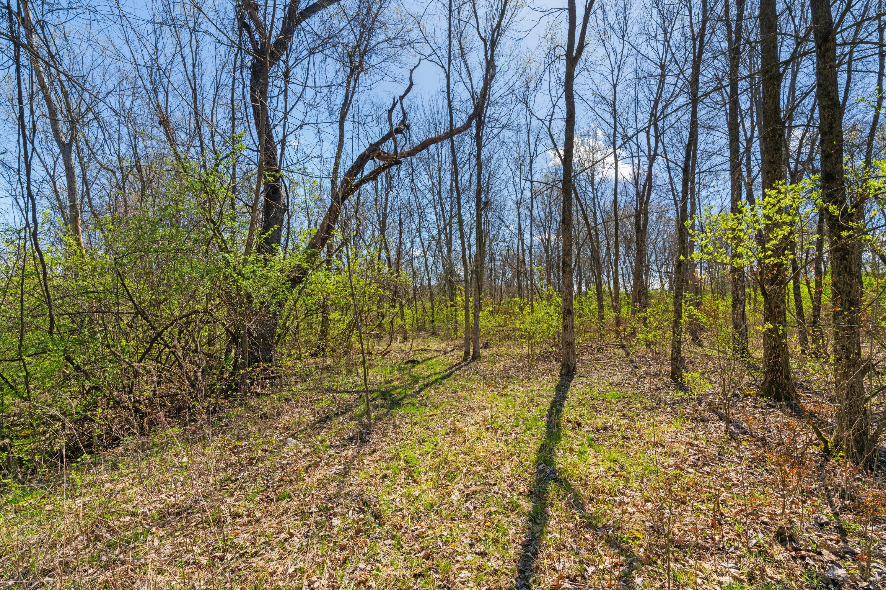 Peachblow Road, Lewis Center, Ohio image 13
