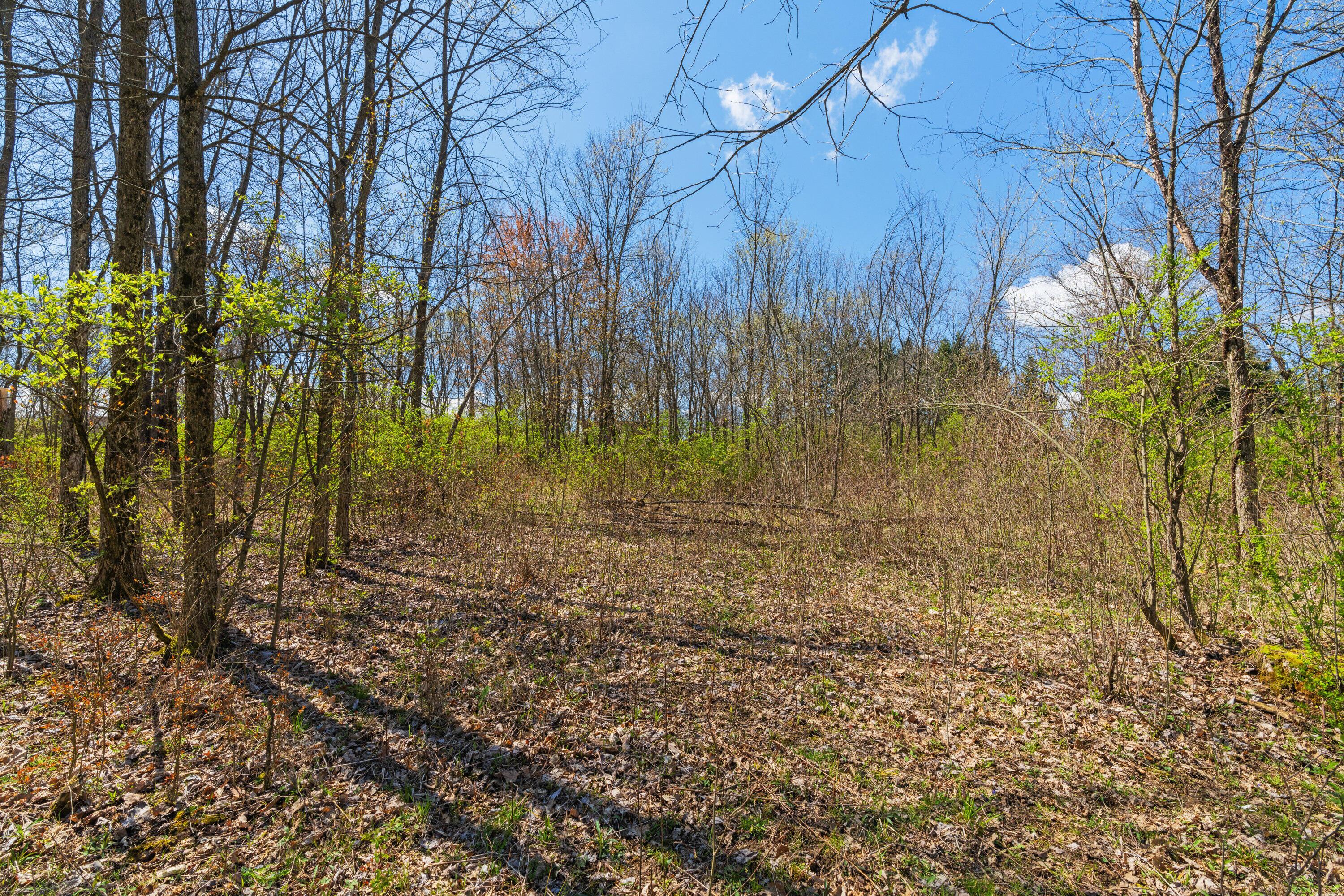 Peachblow Road, Lewis Center, Ohio image 11