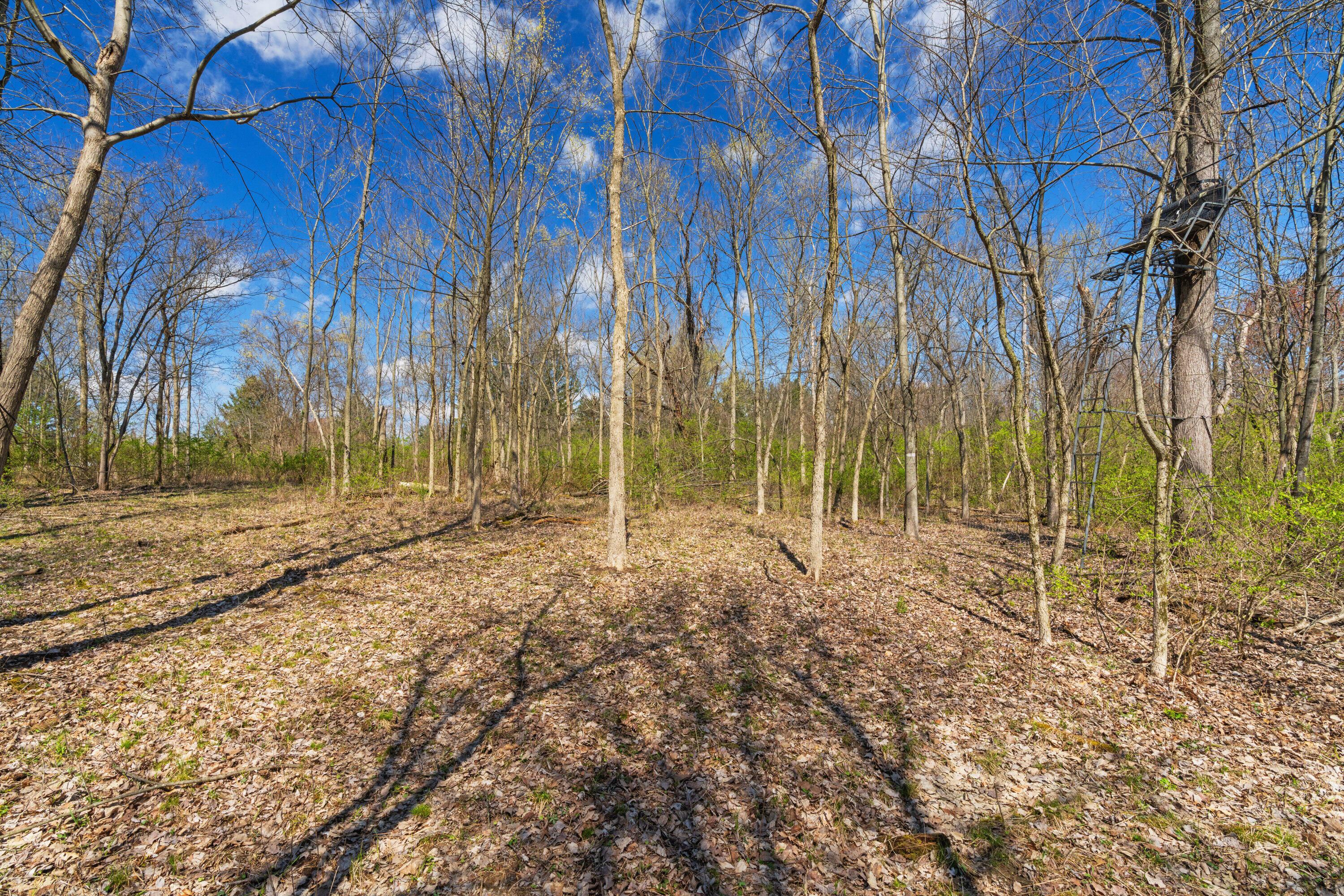 Peachblow Road, Lewis Center, Ohio image 16