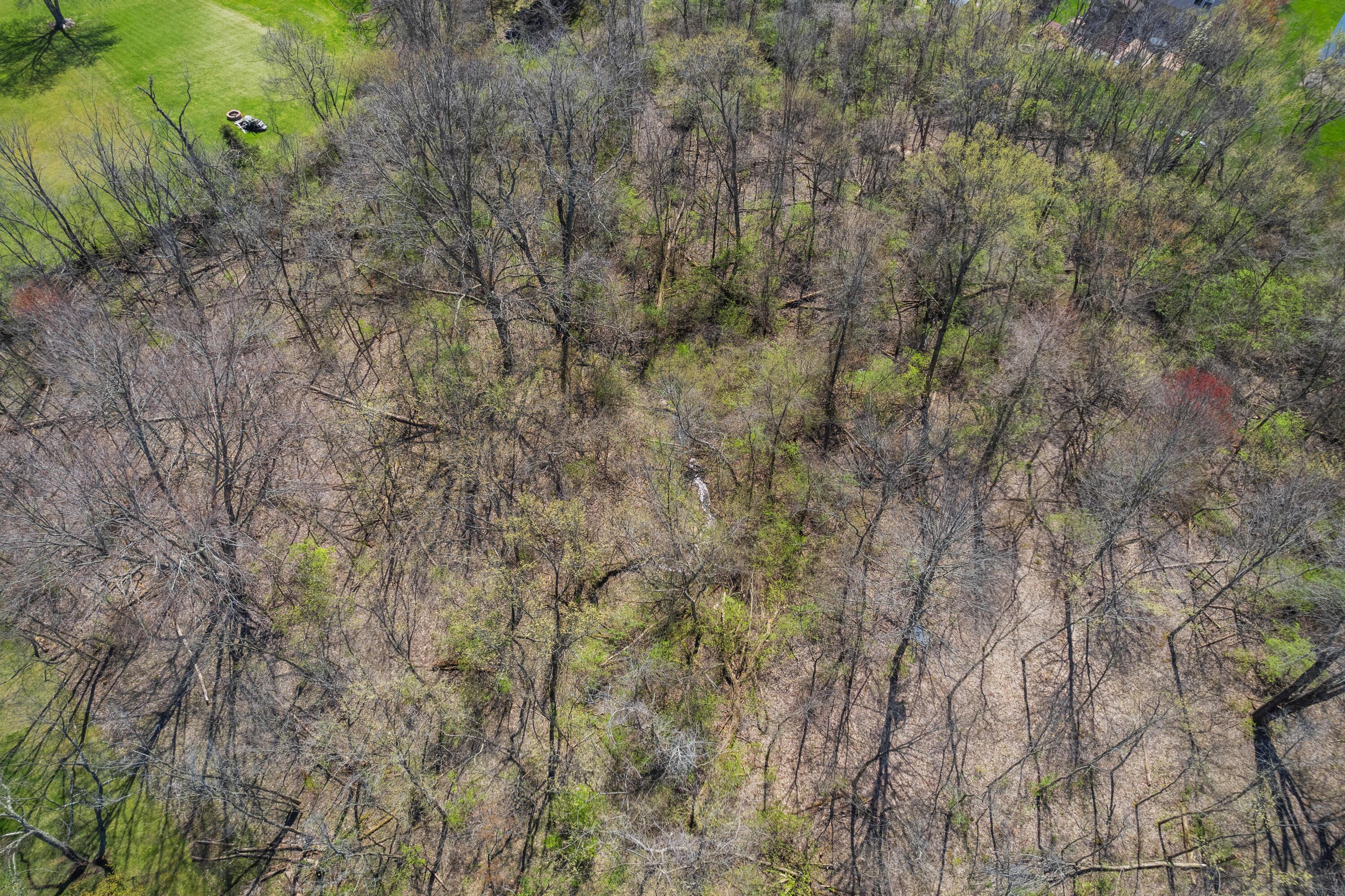 Peachblow Road, Lewis Center, Ohio image 31