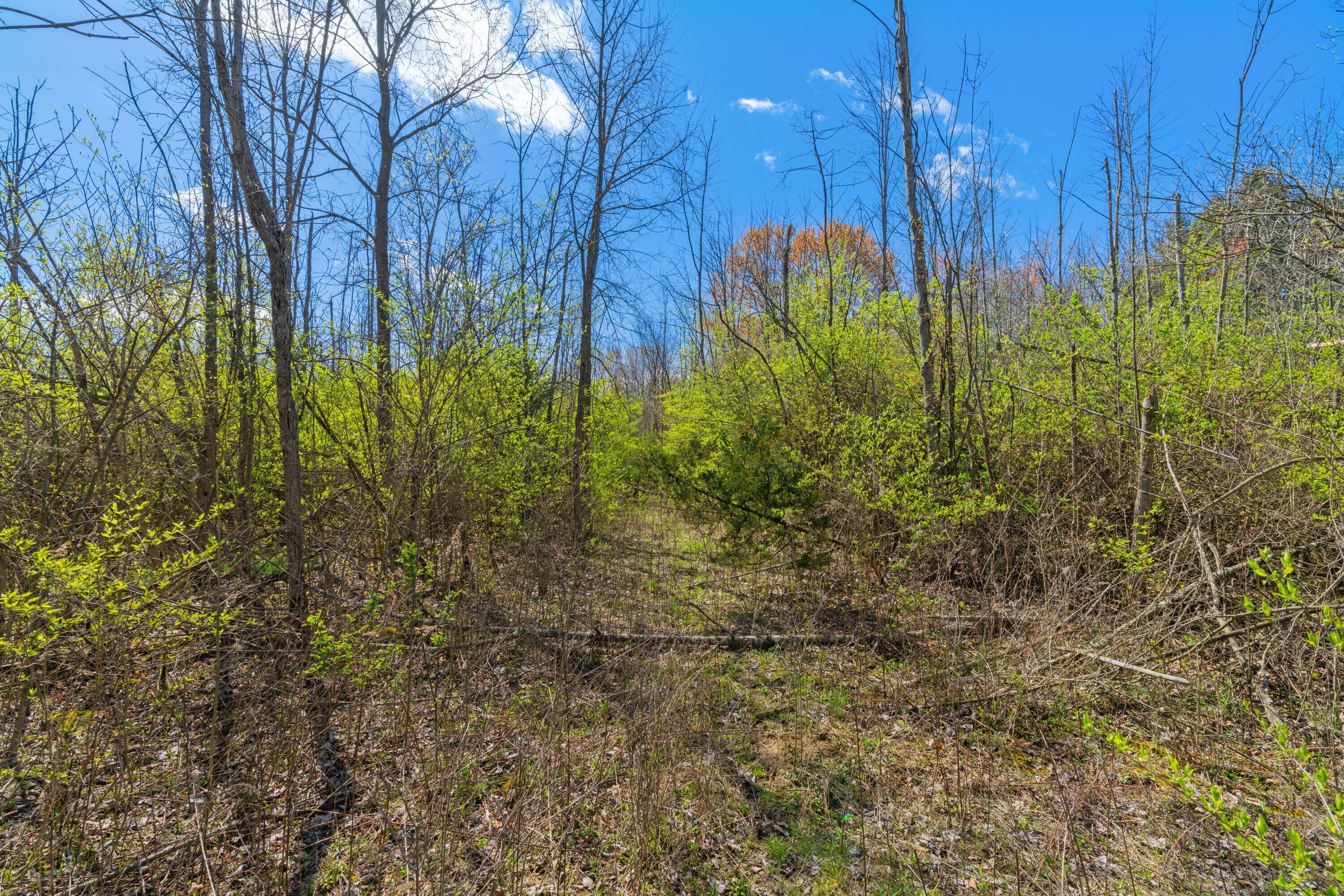 Peachblow Road, Lewis Center, Ohio image 7
