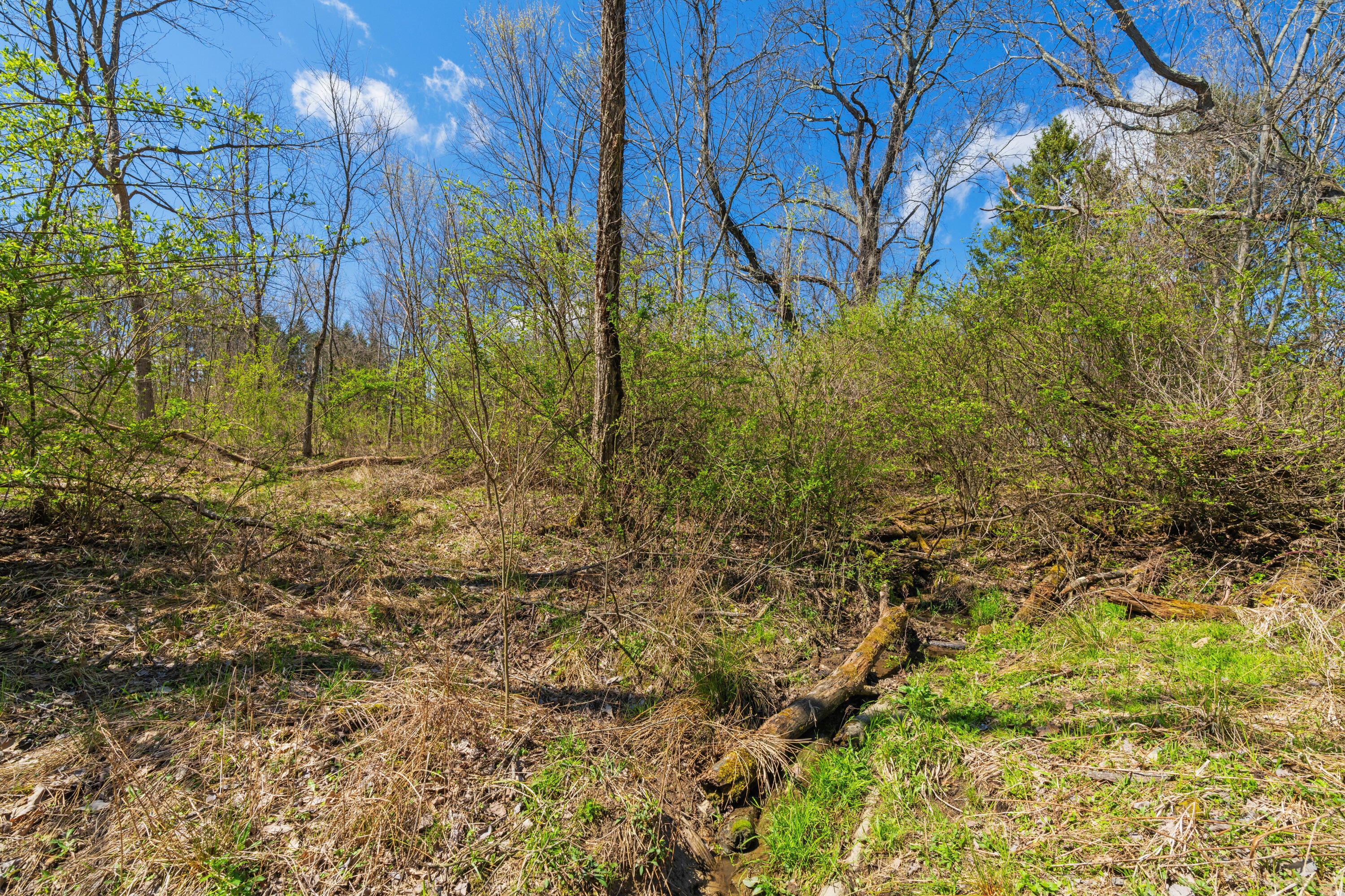 Peachblow Road, Lewis Center, Ohio image 9