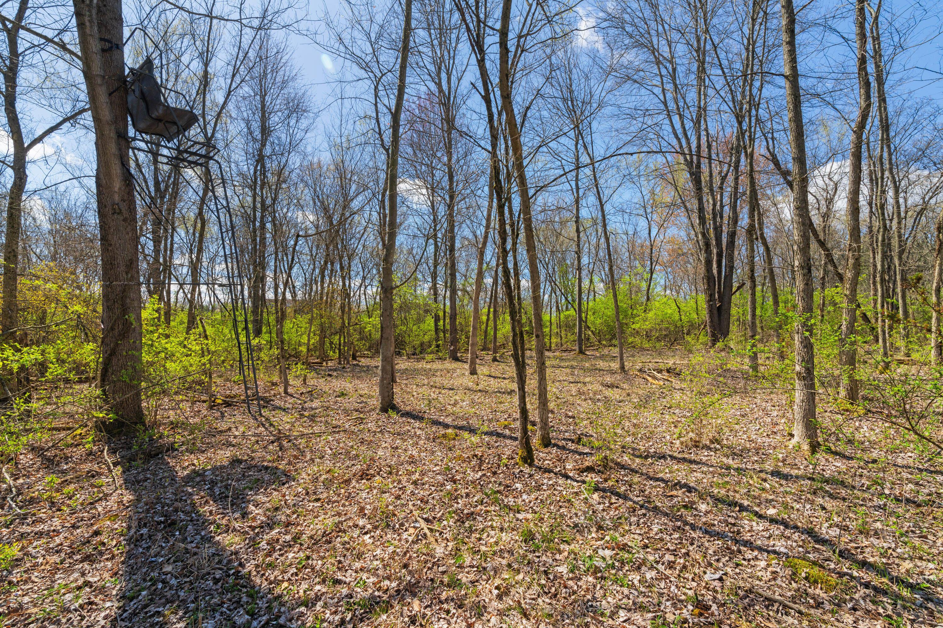 Peachblow Road, Lewis Center, Ohio image 14