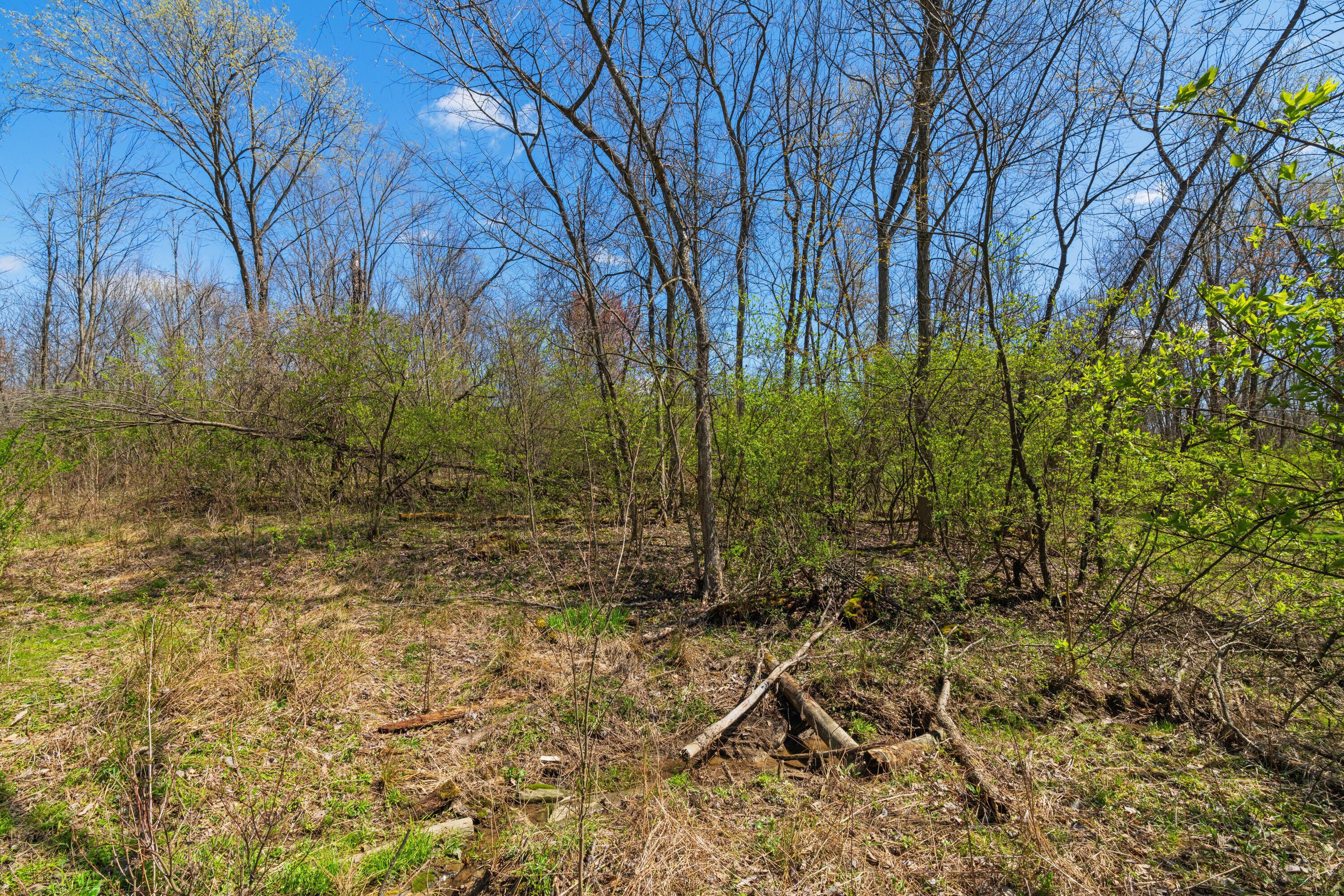 Peachblow Road, Lewis Center, Ohio image 10
